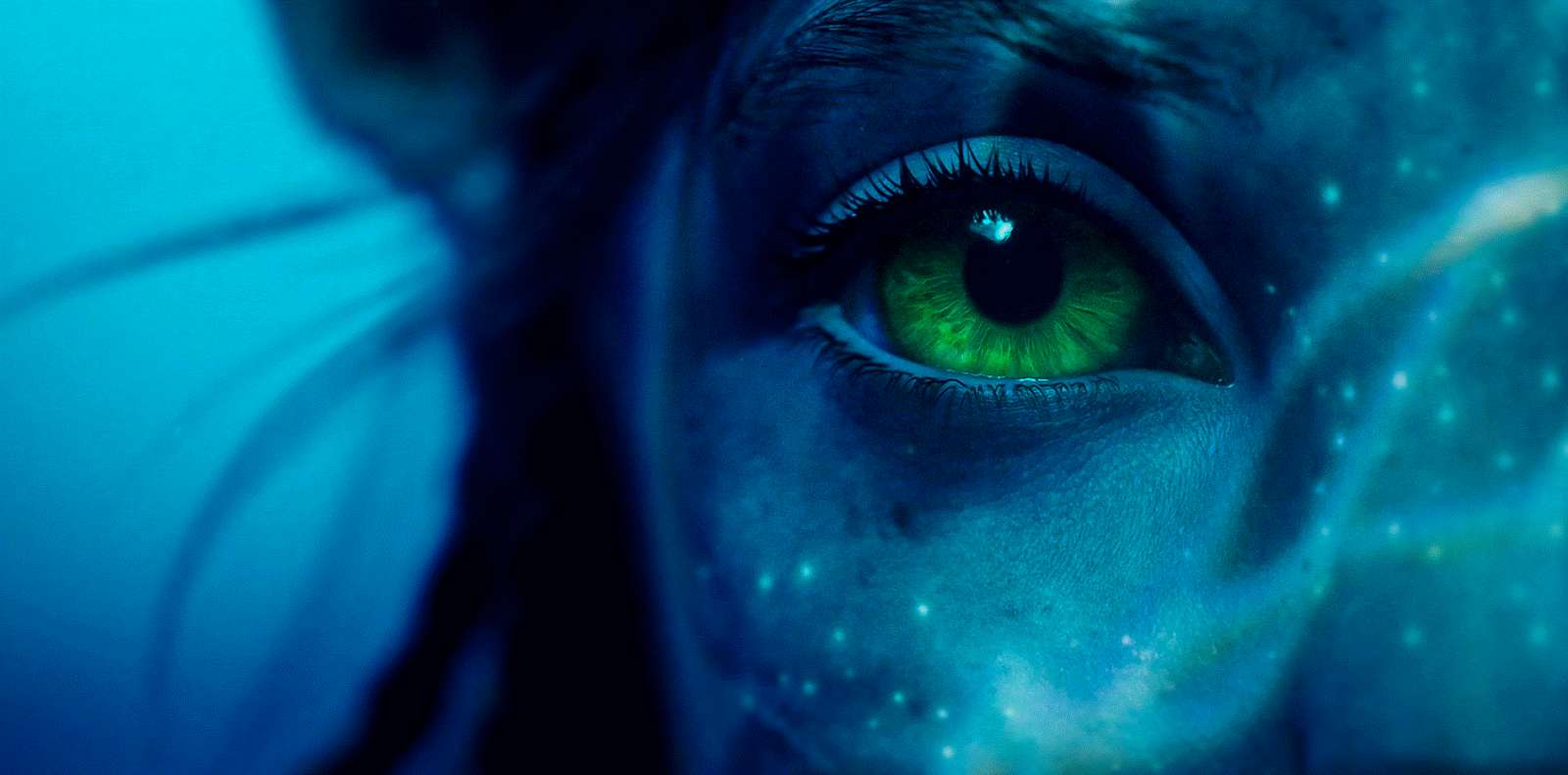 Avatar Pandora, blue-skinned alien eye, glowing green iris, HD Desktop Wallpaper