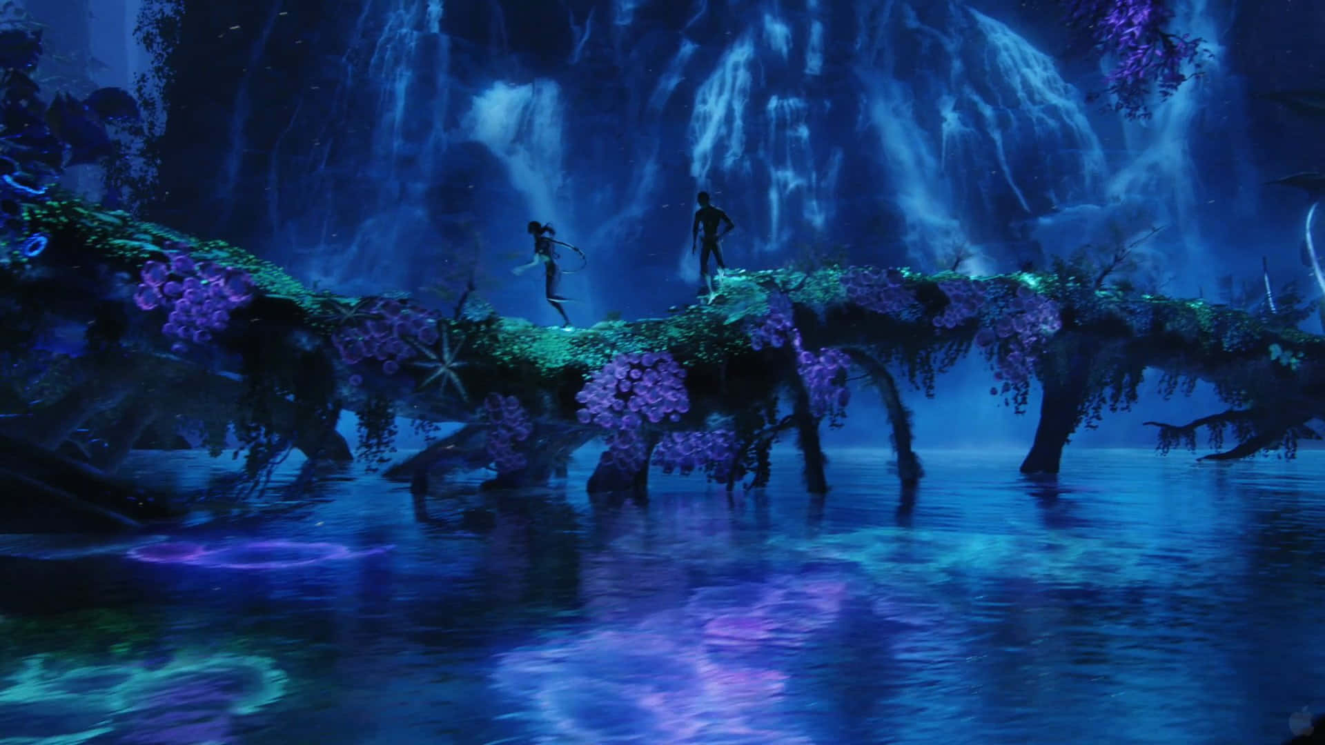 Avatar Pandora, glowing purple vine bridge, cascading waterfalls, Full HD Desktop Wallpaper
