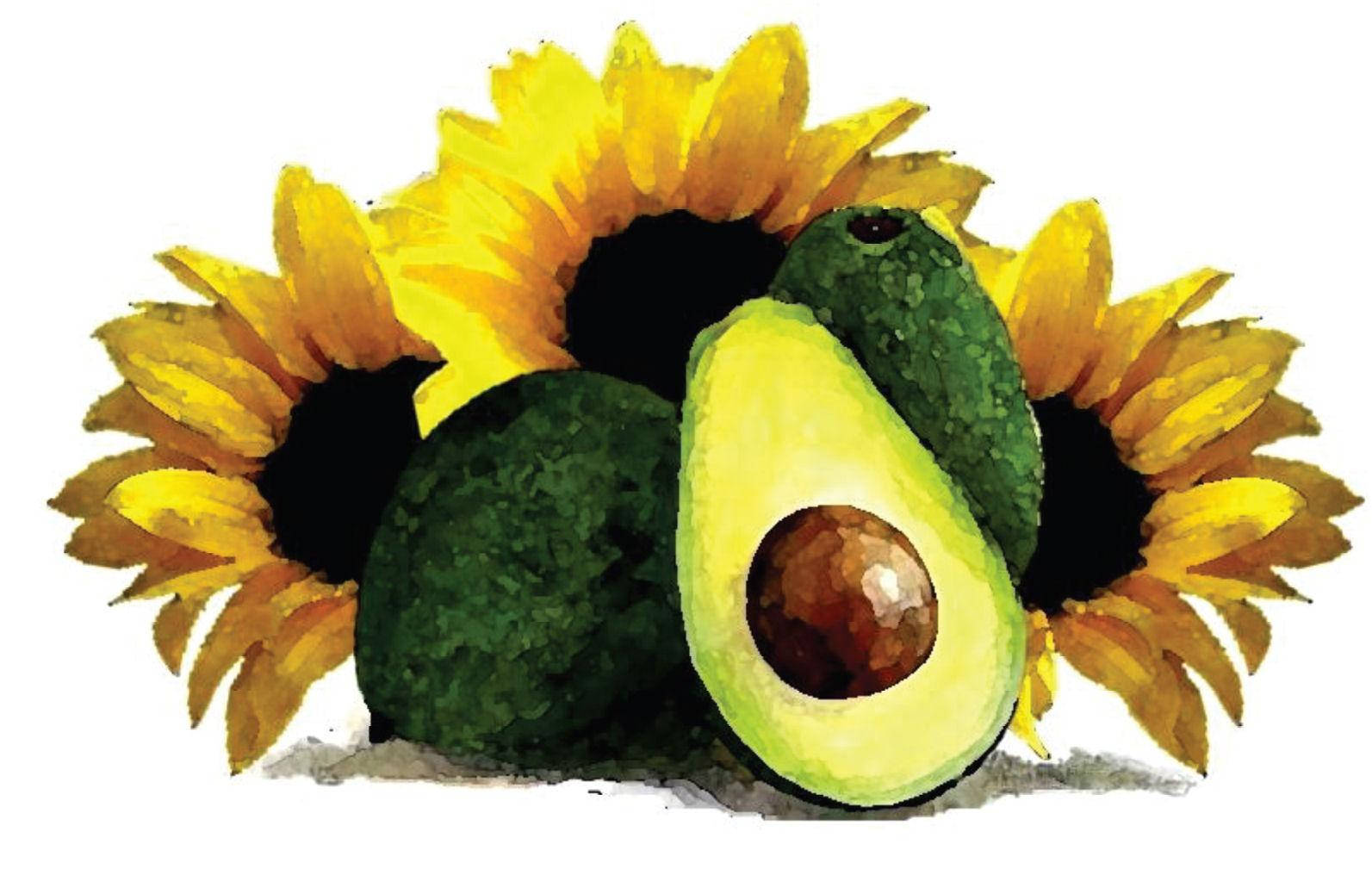 artistic avocado fruits, sunflowers, watercolor illustration, HD Desktop Wallpaper