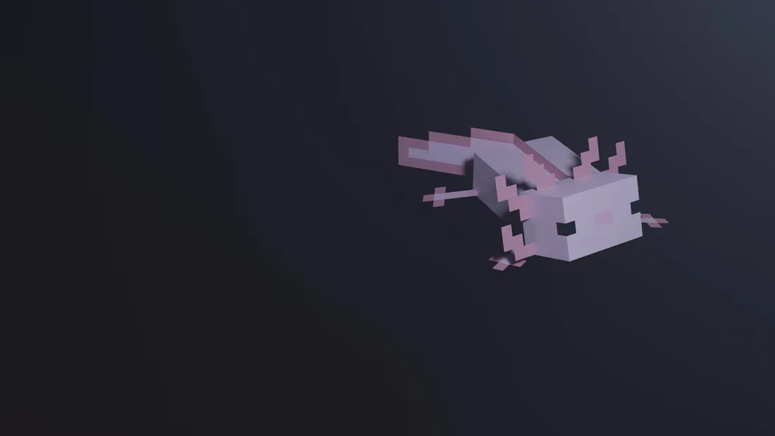 Axolotl Wallpapers
