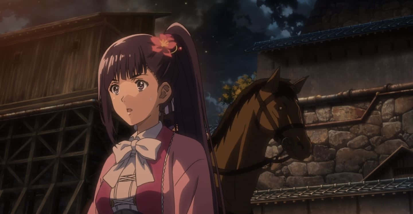 Ayame Yomogawa, horse, starry night sky, HD Desktop Wallpaper