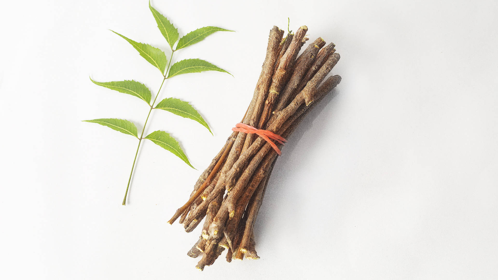 Ayurveda HD, neem sticks, leaf, Full HD Desktop Wallpaper
