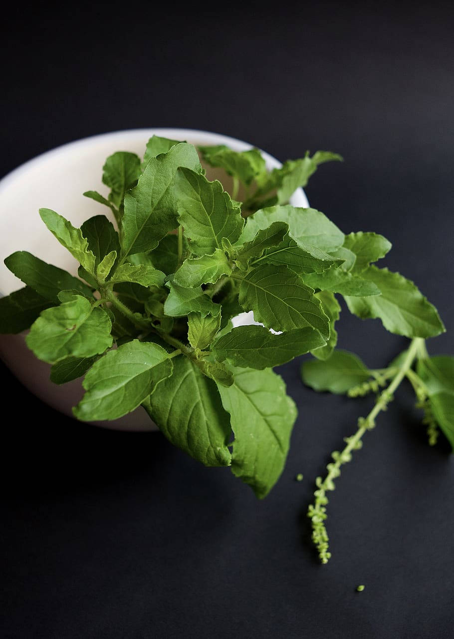 Ayurveda HD, herbs, white bowl, SD Phone Wallpaper