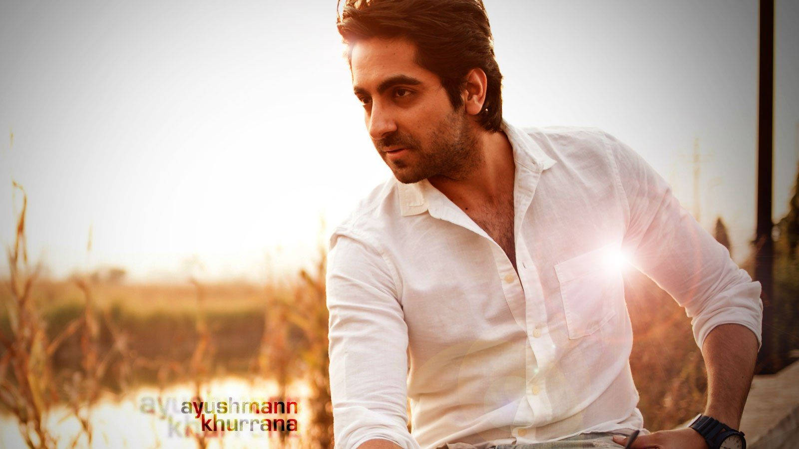 Ayushmann Khurrana, sunset, white shirt, HD Desktop Wallpaper