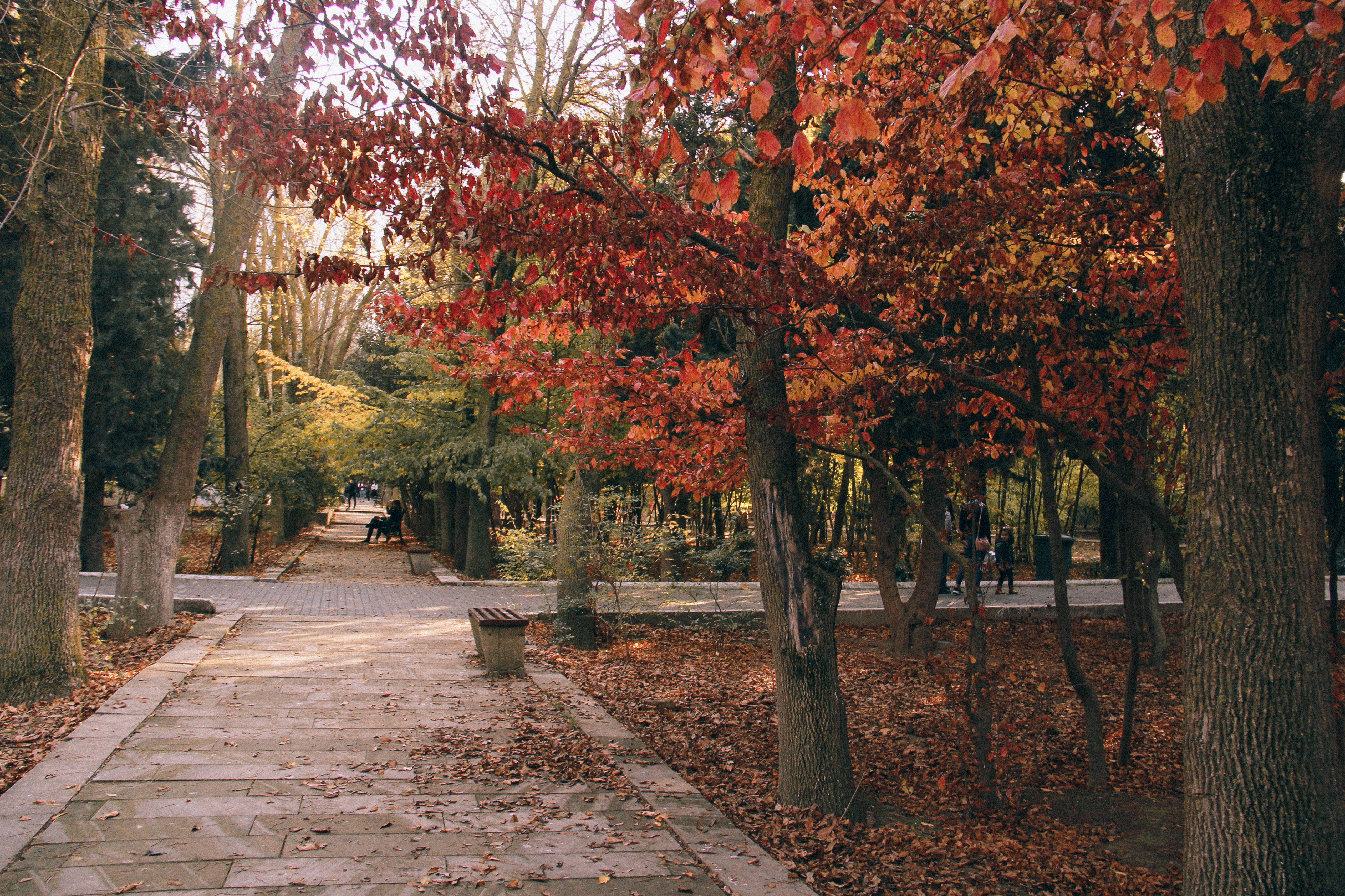 Azerbaijan, autumn, stone path, 4K Desktop Wallpaper