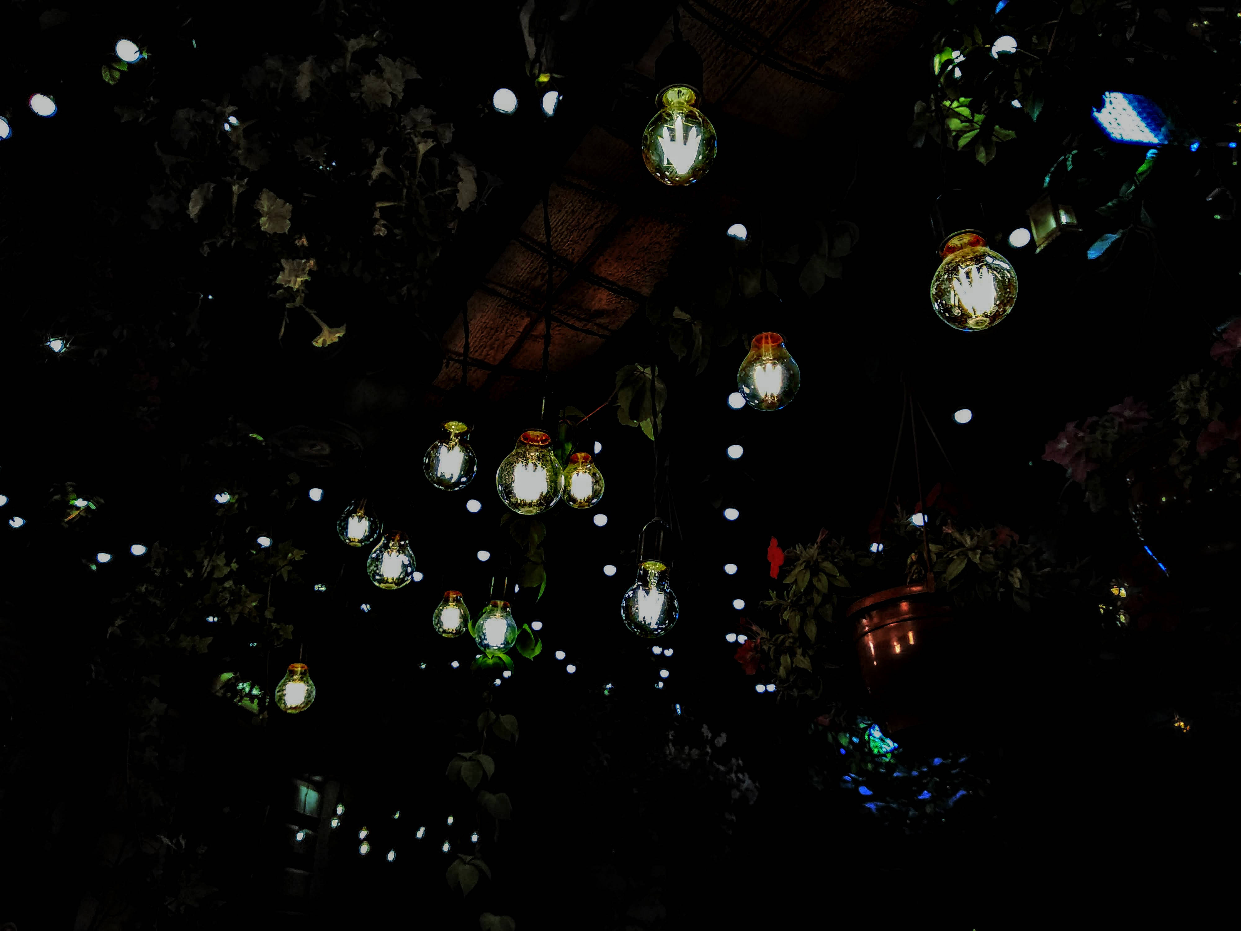 Azerbaijan, glowing vintage bulbs, dark foliage, 4K Desktop Wallpaper