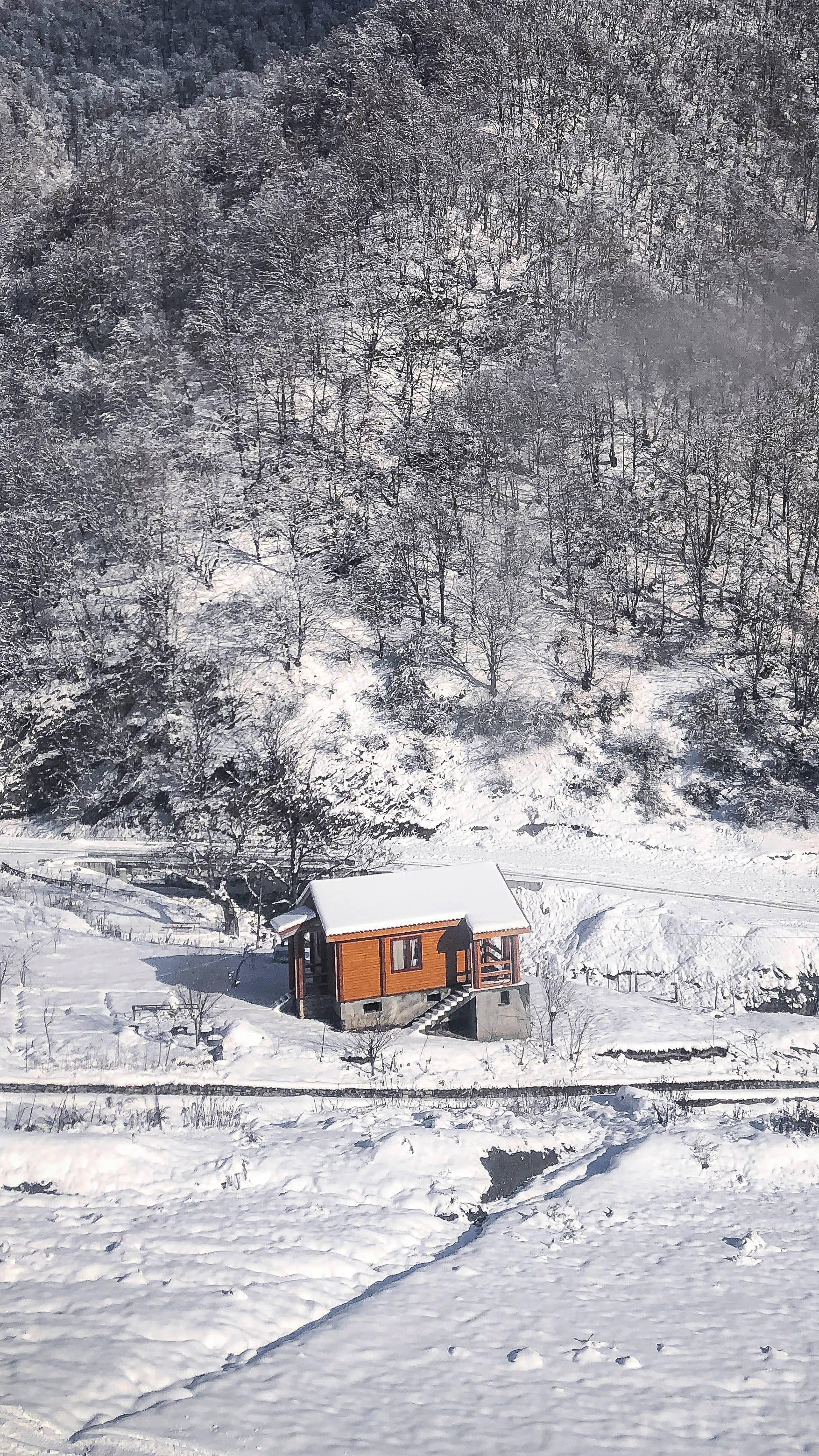 Azerbaijan, snow-covered forest valley, orange cabin, 2K Phone Wallpaper
