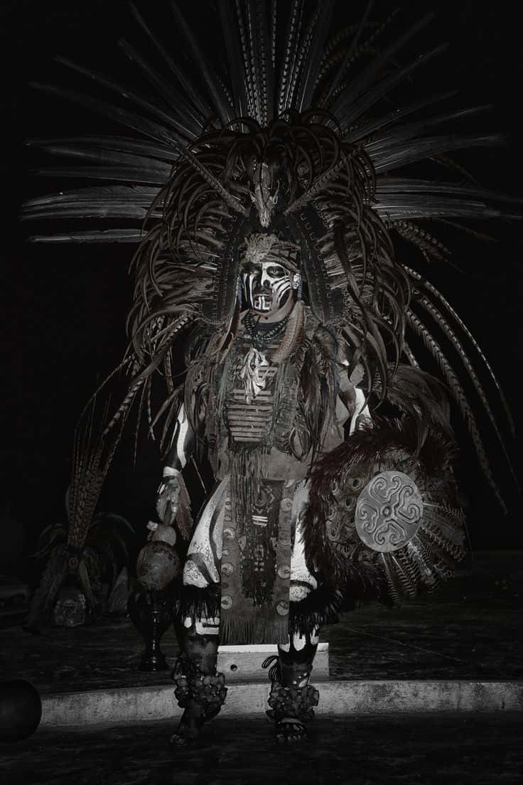 Aztec Warrior, feathered headdress, elaborate traditional costume, SD Phone Wallpaper