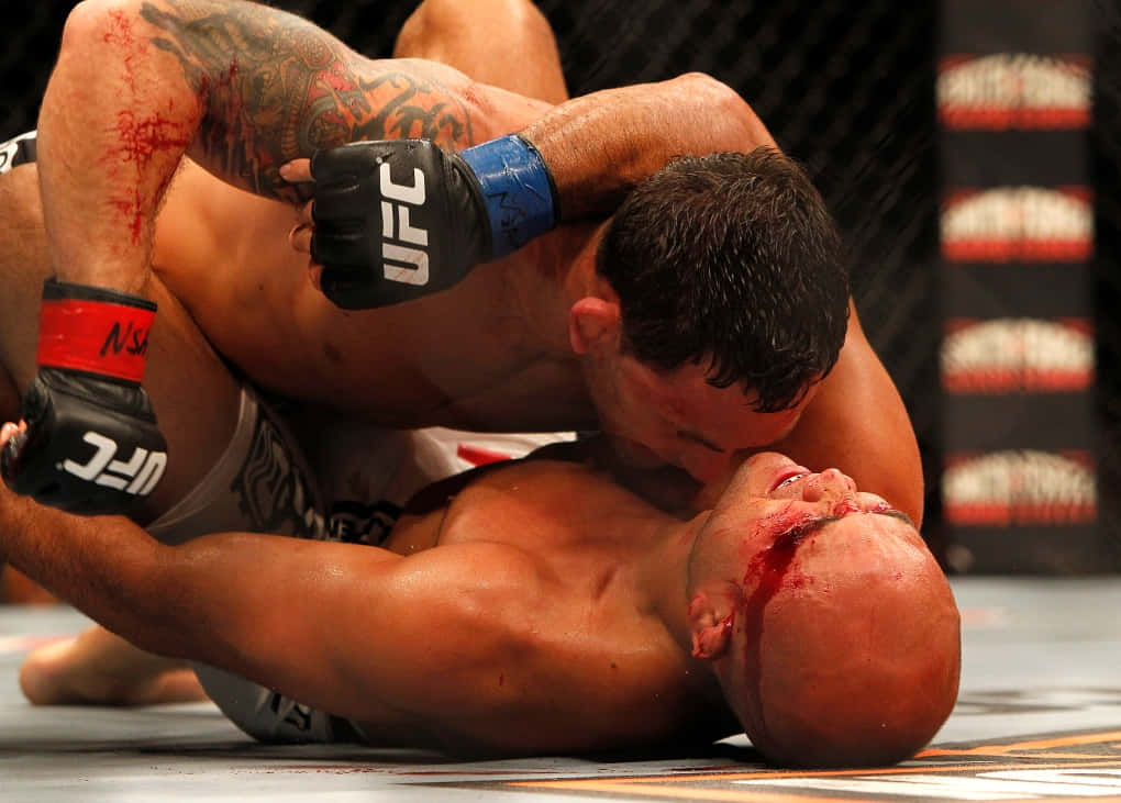 B.J. Penn, MMA match, cage, SD Desktop Wallpaper