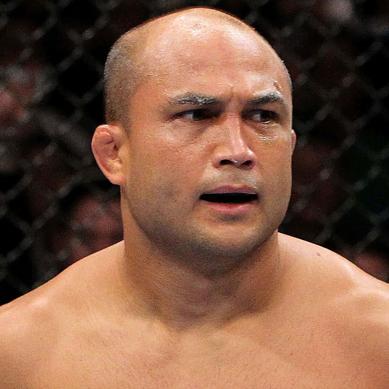 B.J. Penn, cage, sweaty, HD Desktop Wallpaper