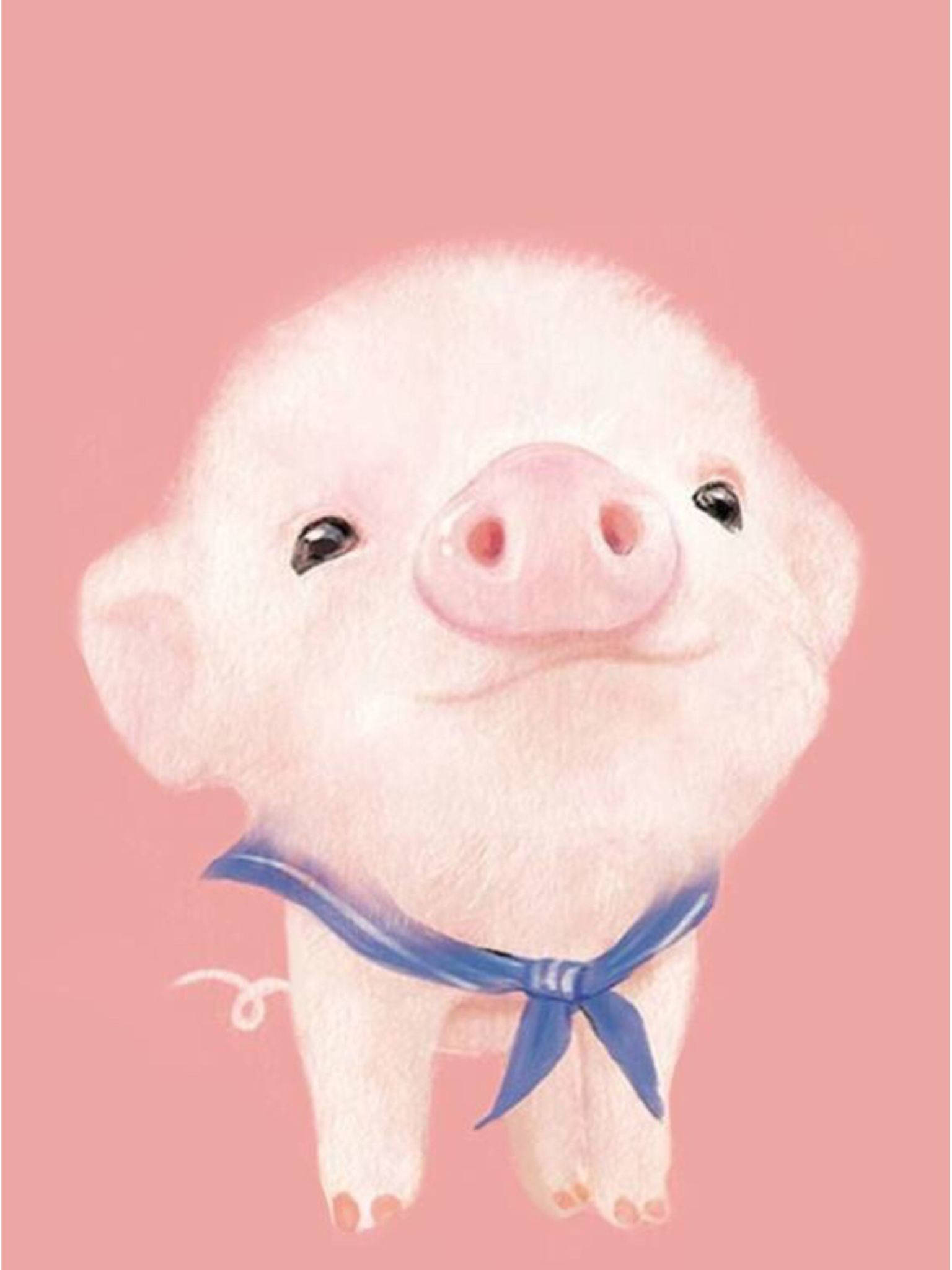 baby pig, fluffy pink piglet, blue bow, Full HD Phone Wallpaper
