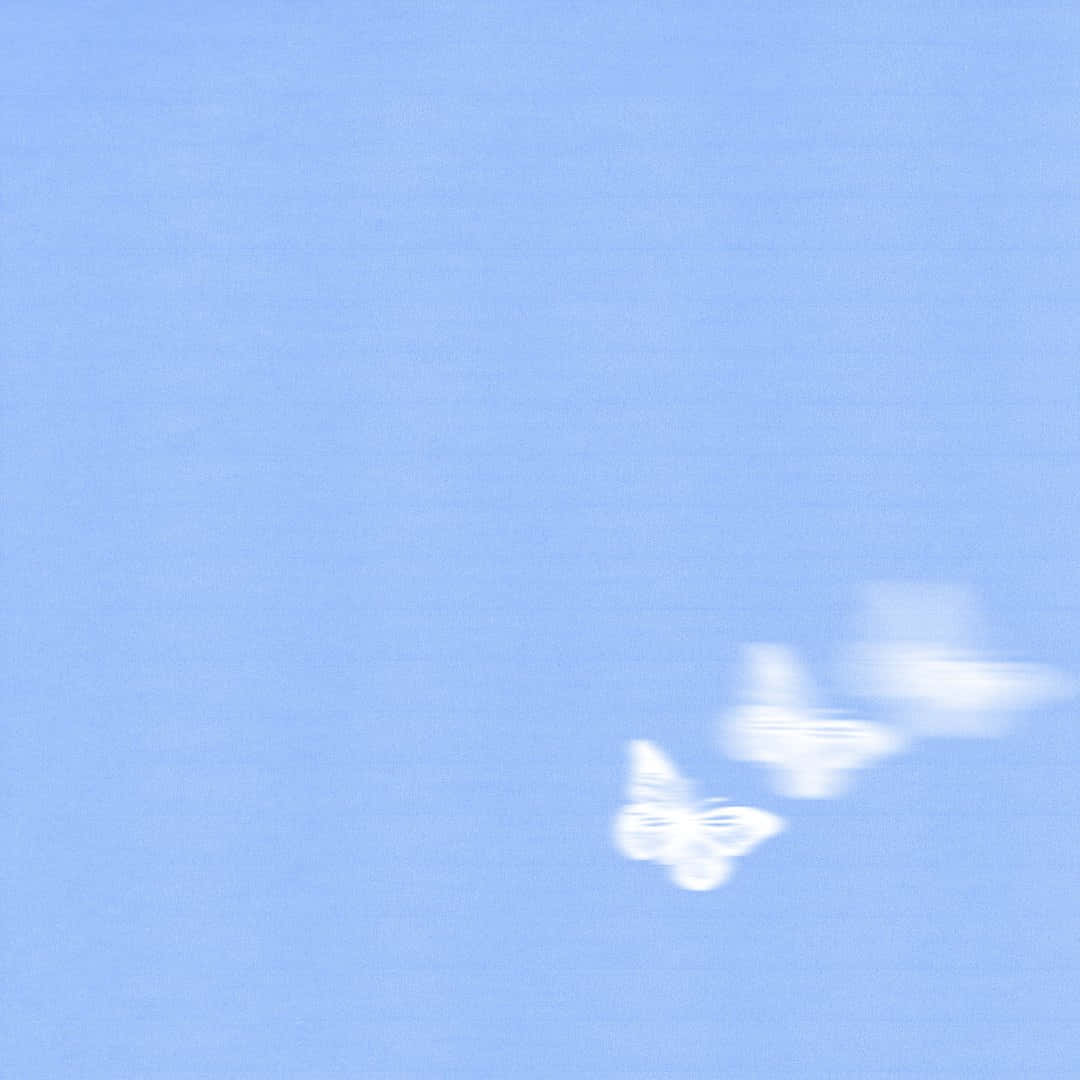 Baby Blue Light Blue Aesthetic, fading butterfly, white butterflies, SD Desktop Wallpaper