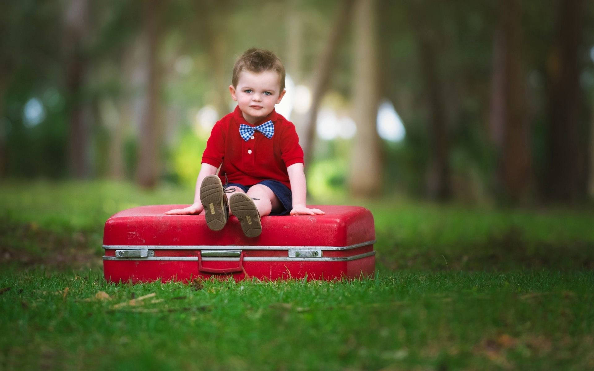 baby boy, red suitcase, red shirt, Full HD Desktop Wallpaper