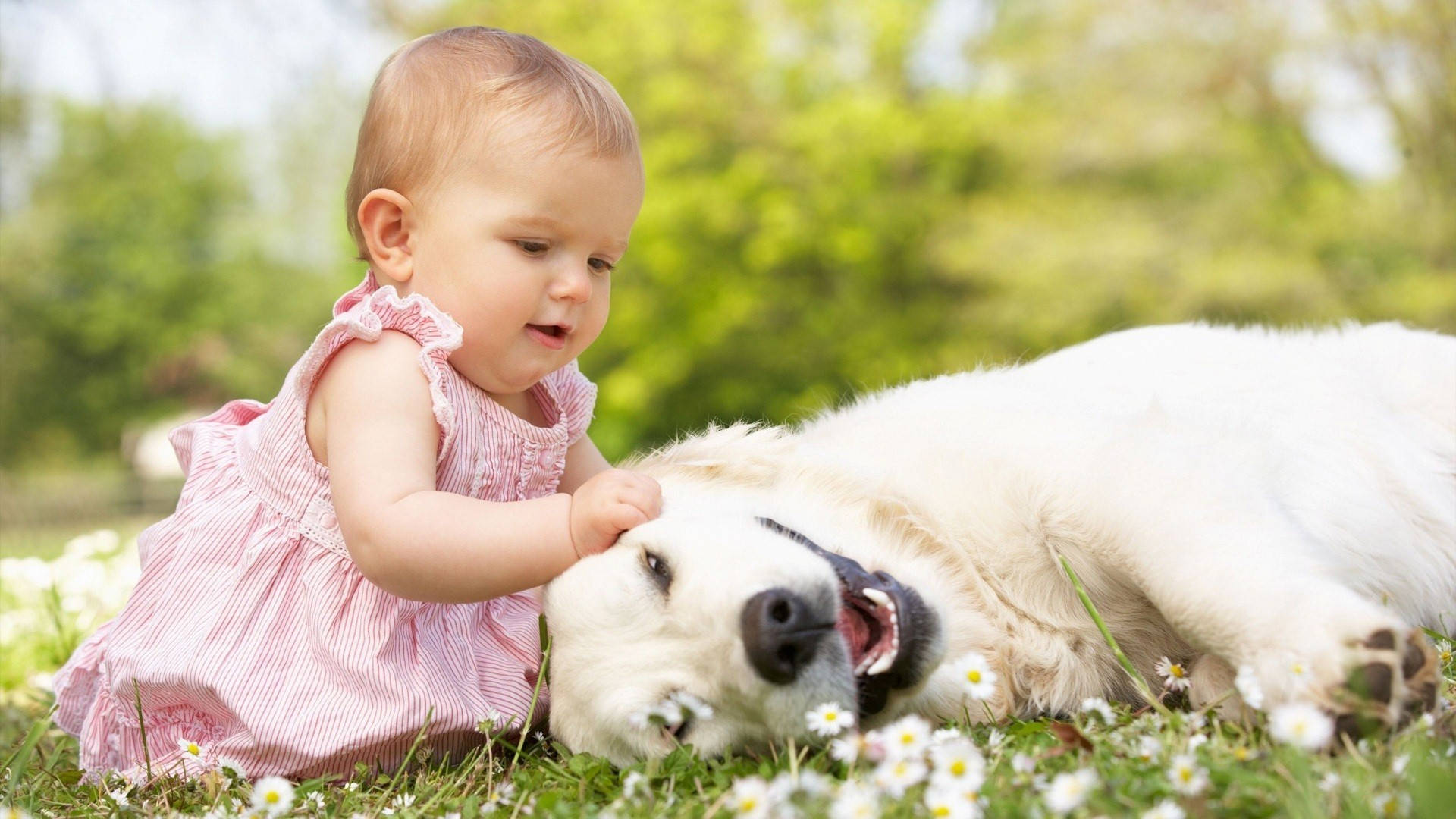 baby, pink dress, white dog, Full HD Desktop Wallpaper