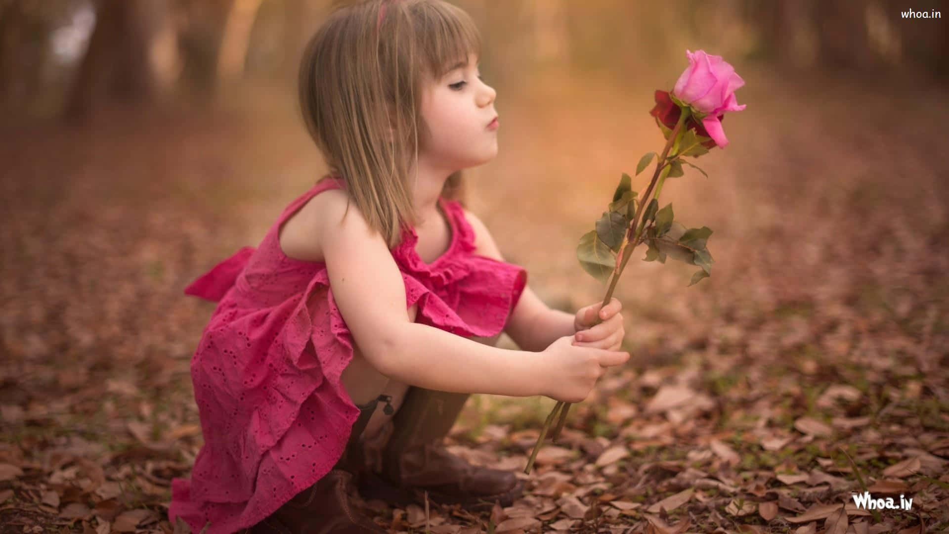 baby girl pink, pink dress, pink rose, Full HD Desktop Wallpaper