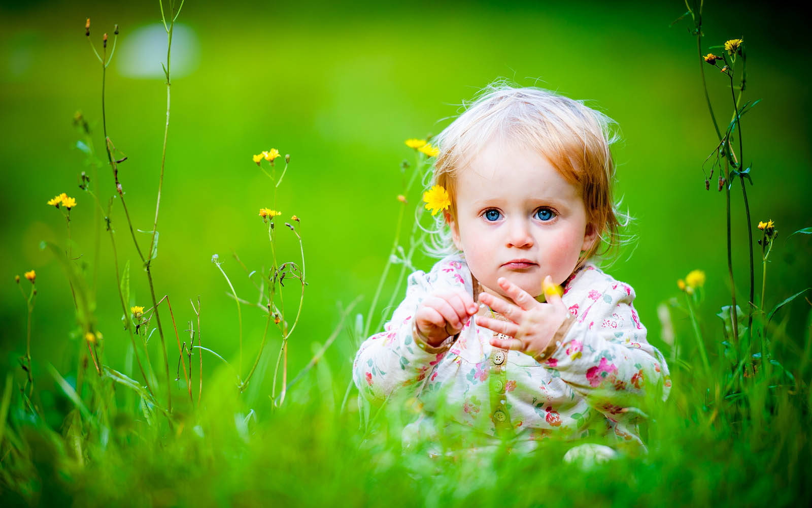 blue eyes, cute baby girl, vibrant green grass, HD Desktop Wallpaper