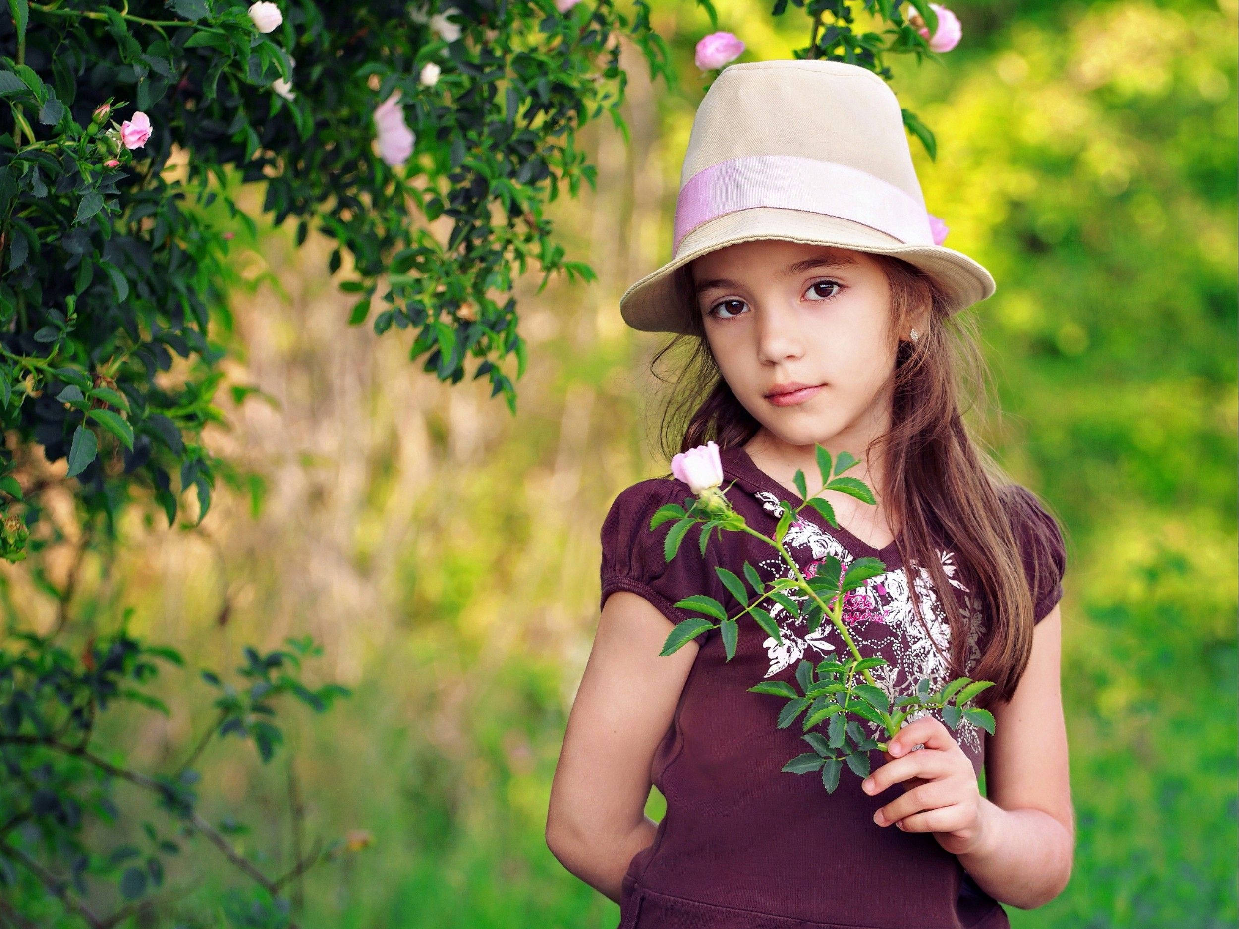 maroon dress, beige hat, pink rose, Full HD Desktop Wallpaper