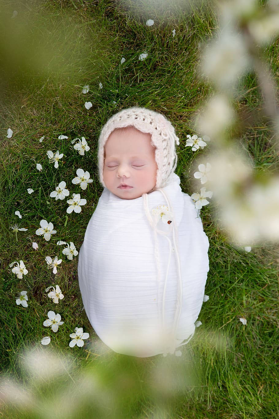 newborn baby, white wrap, green grass, HD Phone Wallpaper