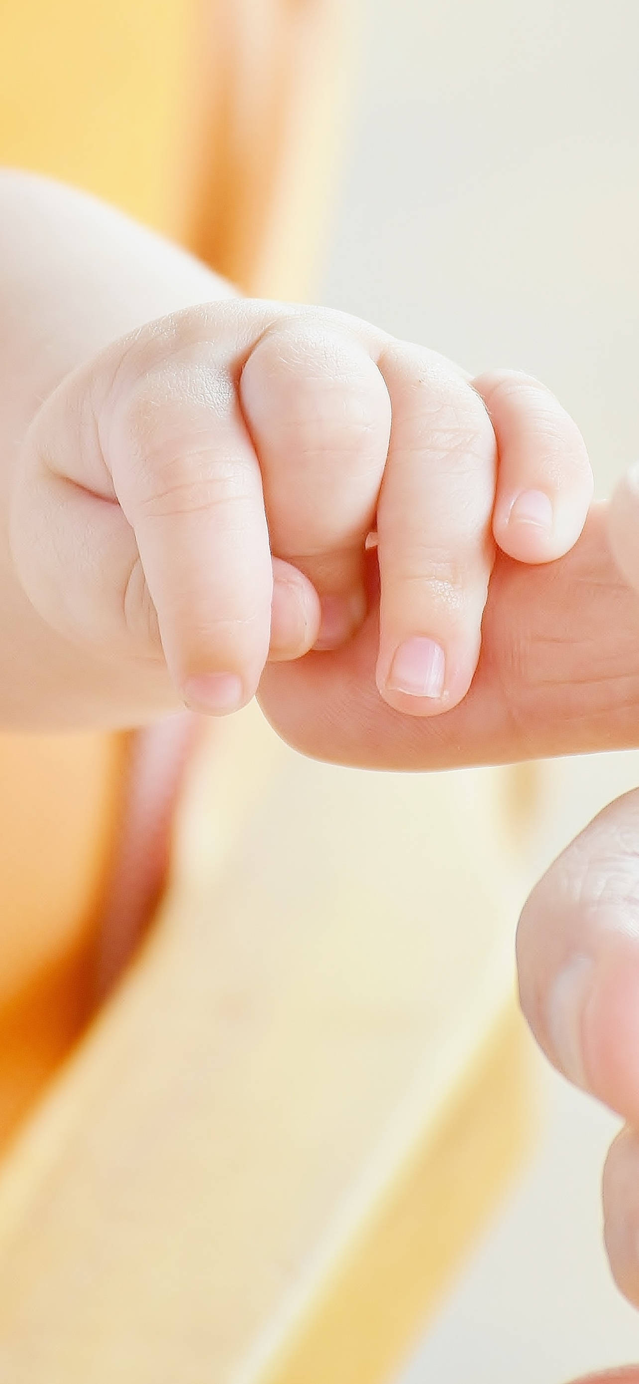 baby hand, adult finger, soft warm background, 2K Phone Wallpaper