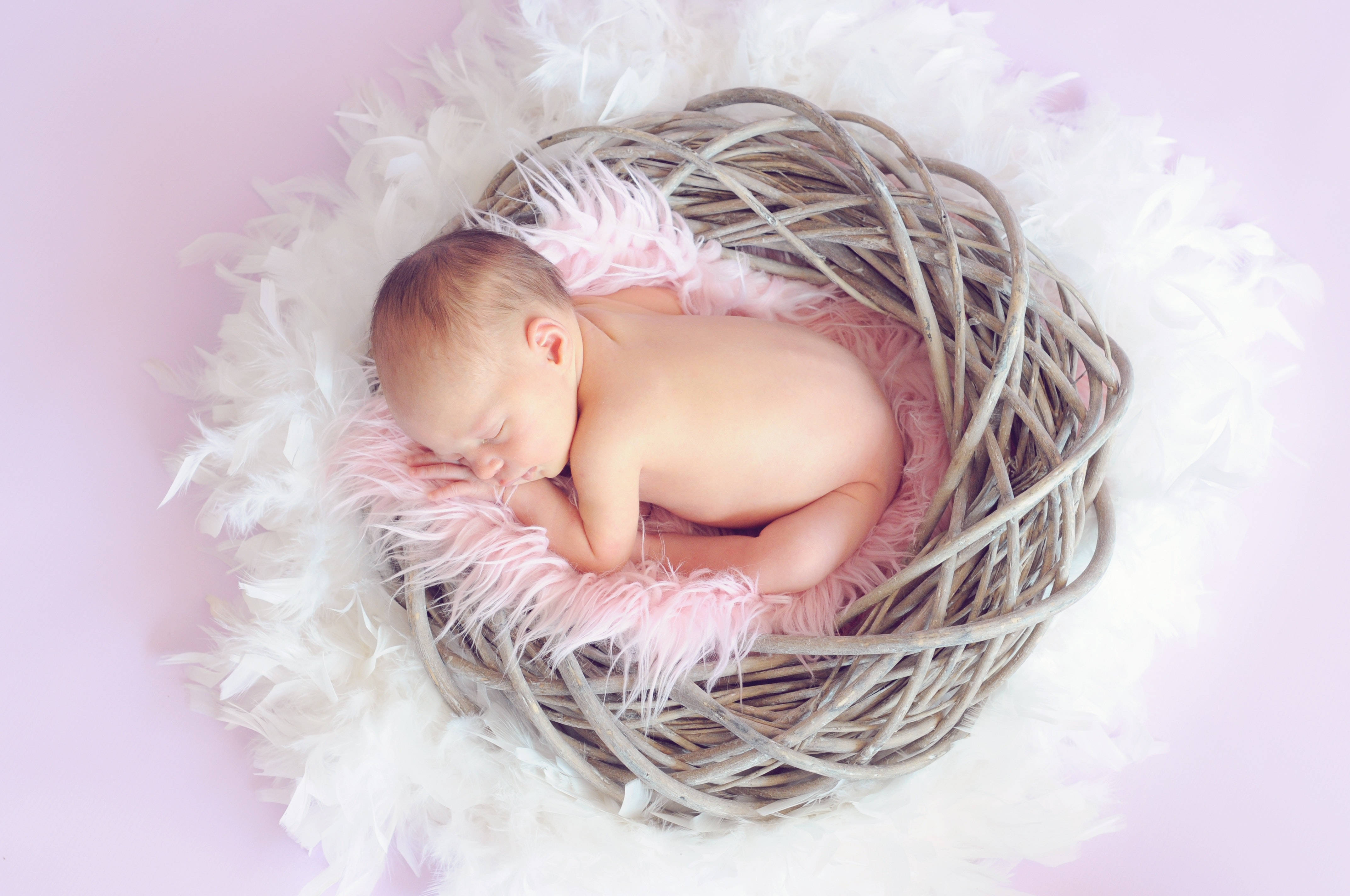baby, woven basket, soft pink and white feathers, 4K Desktop Wallpaper