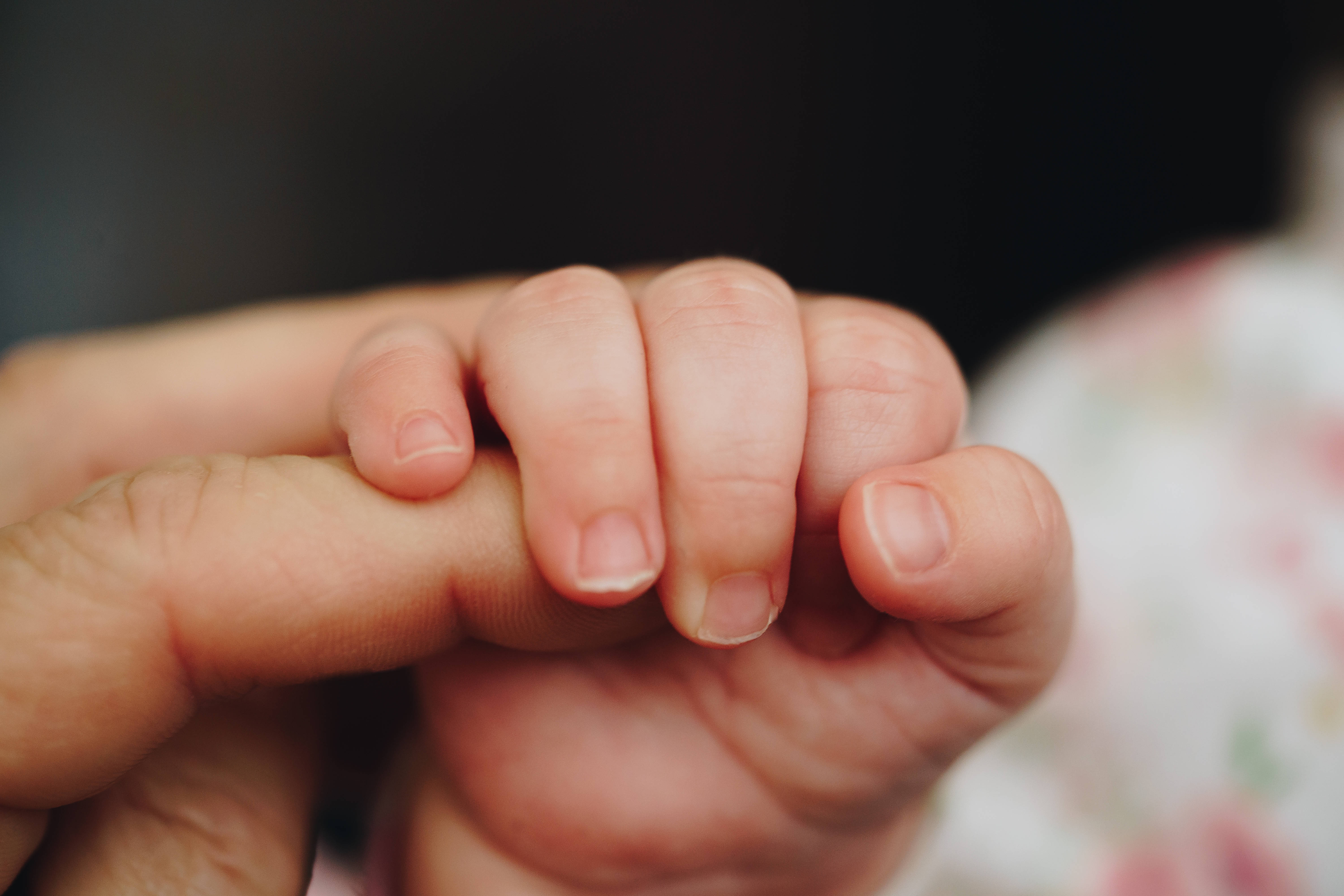baby, tiny baby's hand, adult's finger, 5K Desktop Wallpaper