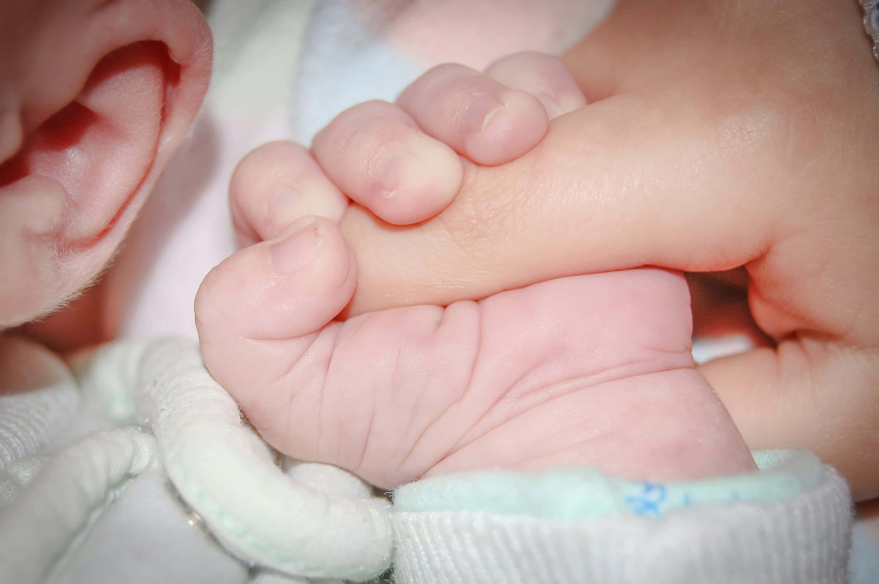 baby hand, newborn, adult finger, 2K Desktop Wallpaper