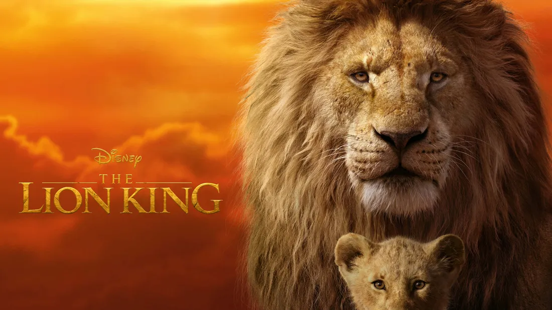 Baby Lion