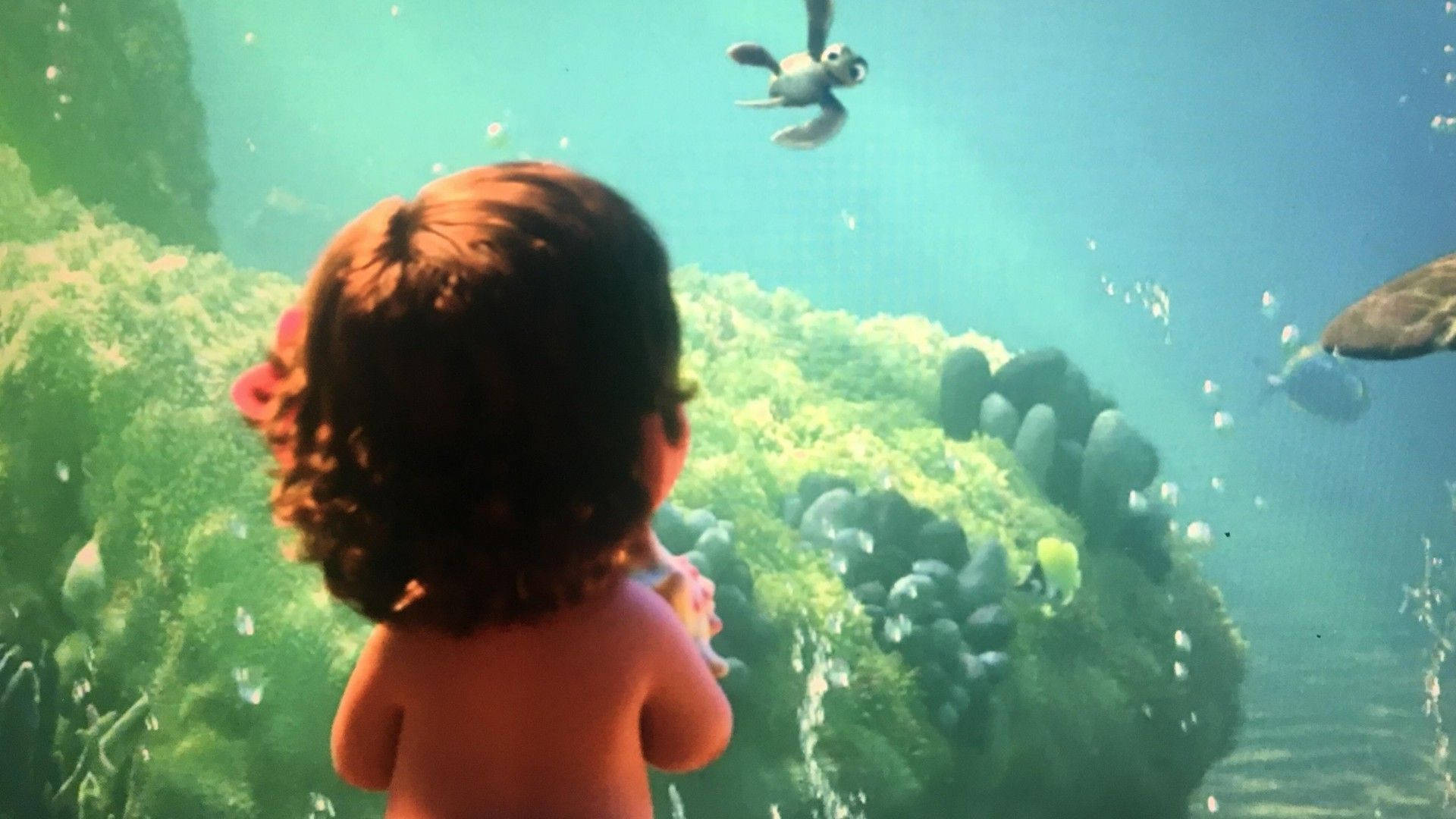 Baby Moana, ocean view, aquarium, Full HD Desktop Wallpaper