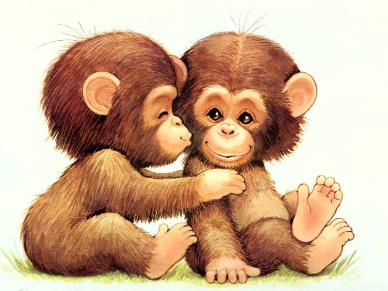 baby monkey twins, baby chimpanzees, green grass, SD Desktop Wallpaper