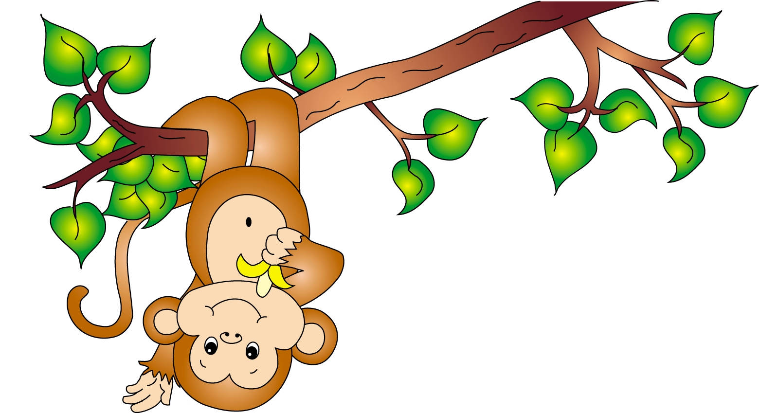 Baby Monkey, upside down, tree branch, HD Desktop Wallpaper