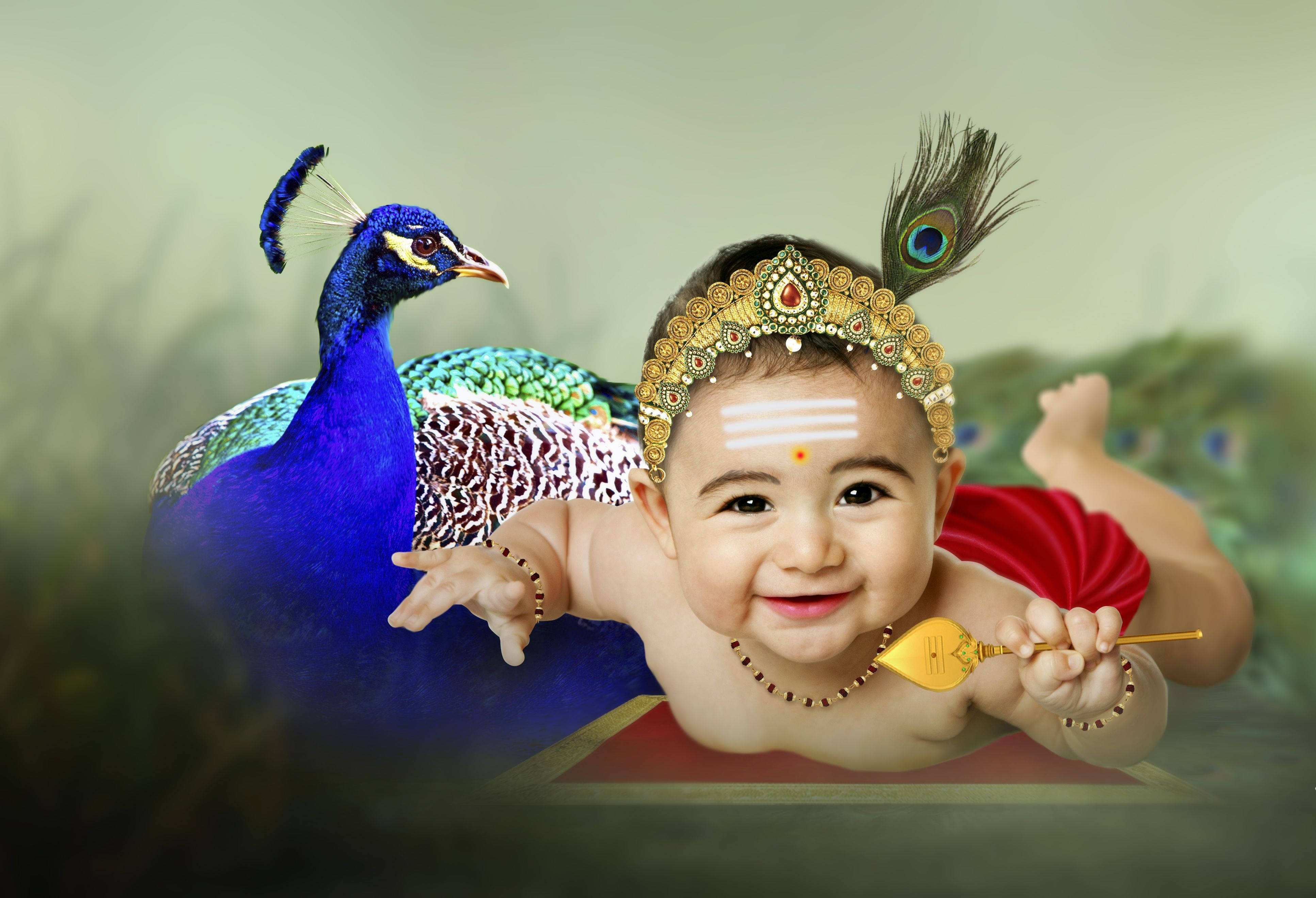 Baby Murugan, blue peacock, golden crown, 4K Desktop Wallpaper