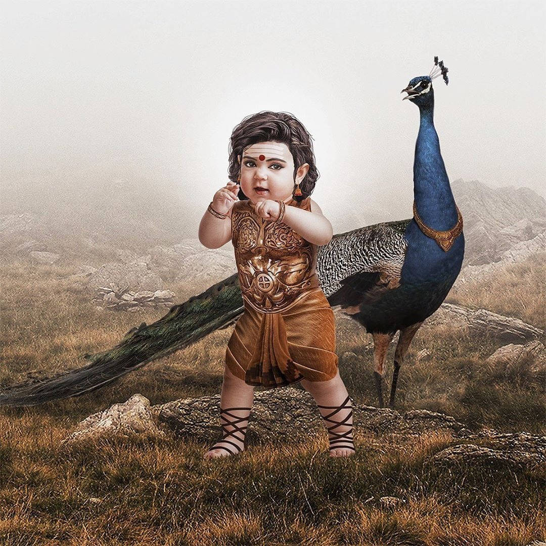 Baby Murugan, peacock, paravani, SD Desktop Wallpaper
