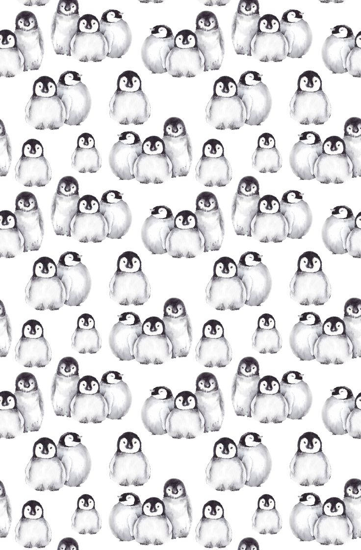 Baby Penguin, black and white, soft shading, SD Phone Wallpaper