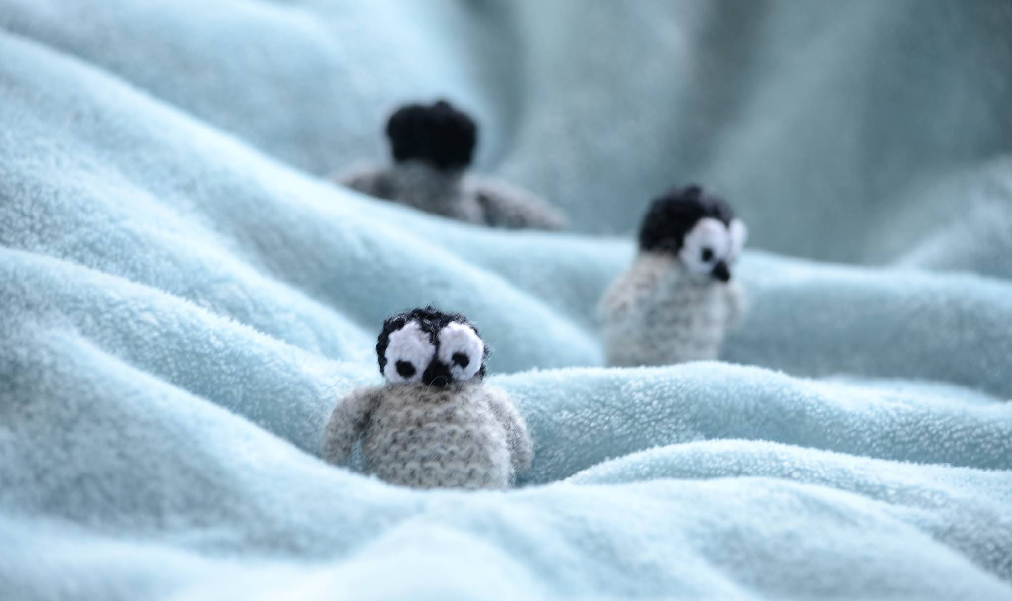 crocheted penguin toys, light blue textured blanket, shallow depth of field, Full HD Desktop Wallpaper