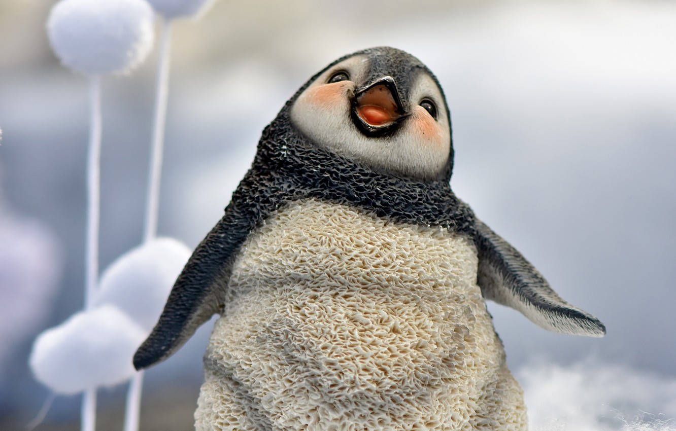 Baby Penguin, plush penguin, textured cream belly, HD Desktop Wallpaper