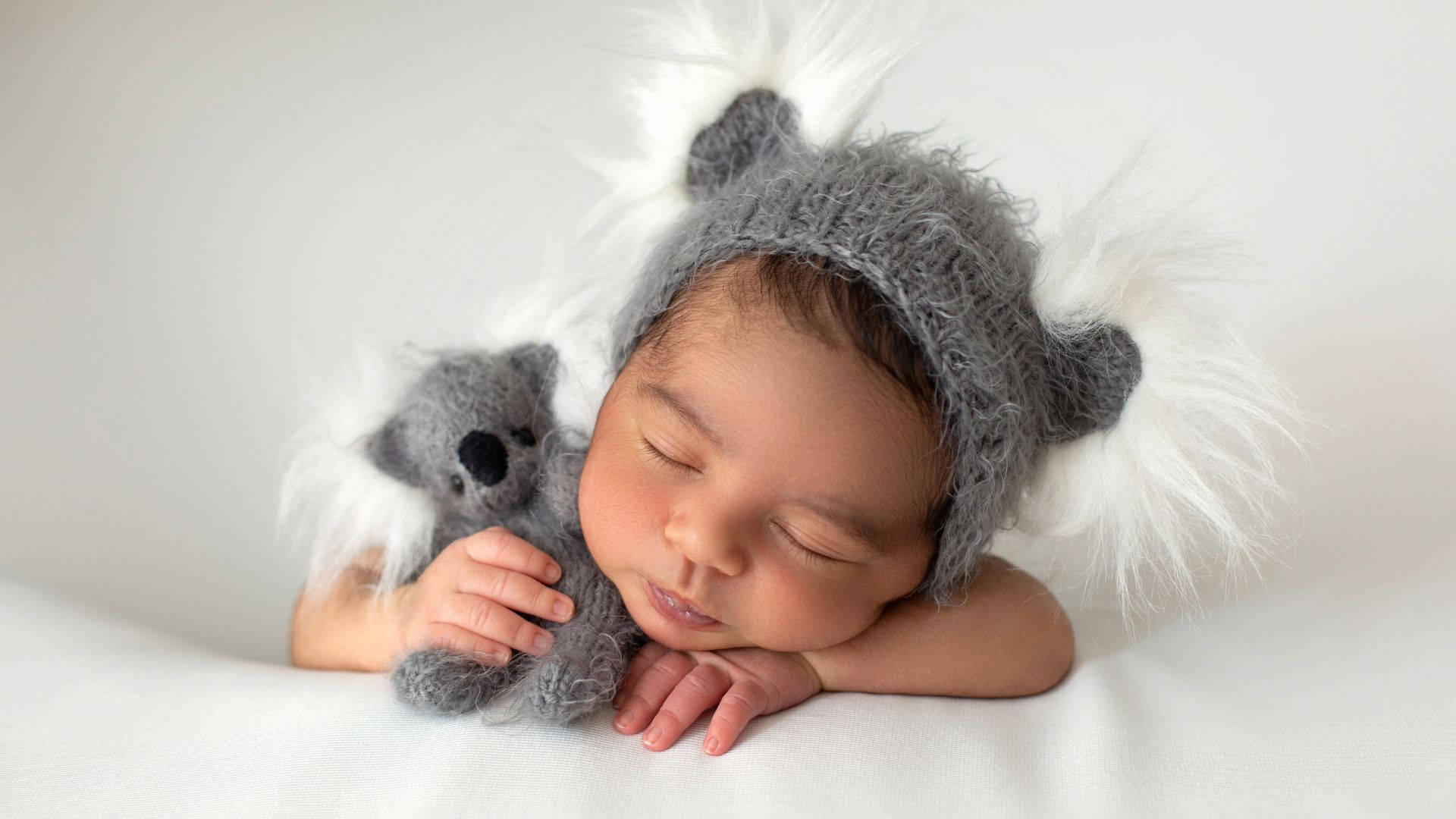 koala costume, fluffy koala hat, koala plush toy, Full HD Desktop Wallpaper