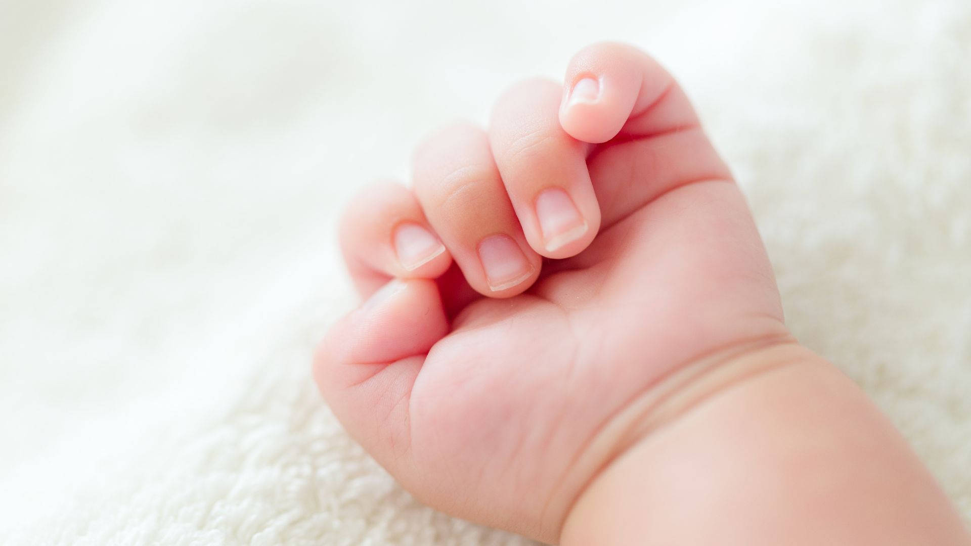 baby hand, closed into a ball, soft white textured blanket, Full HD Desktop Wallpaper