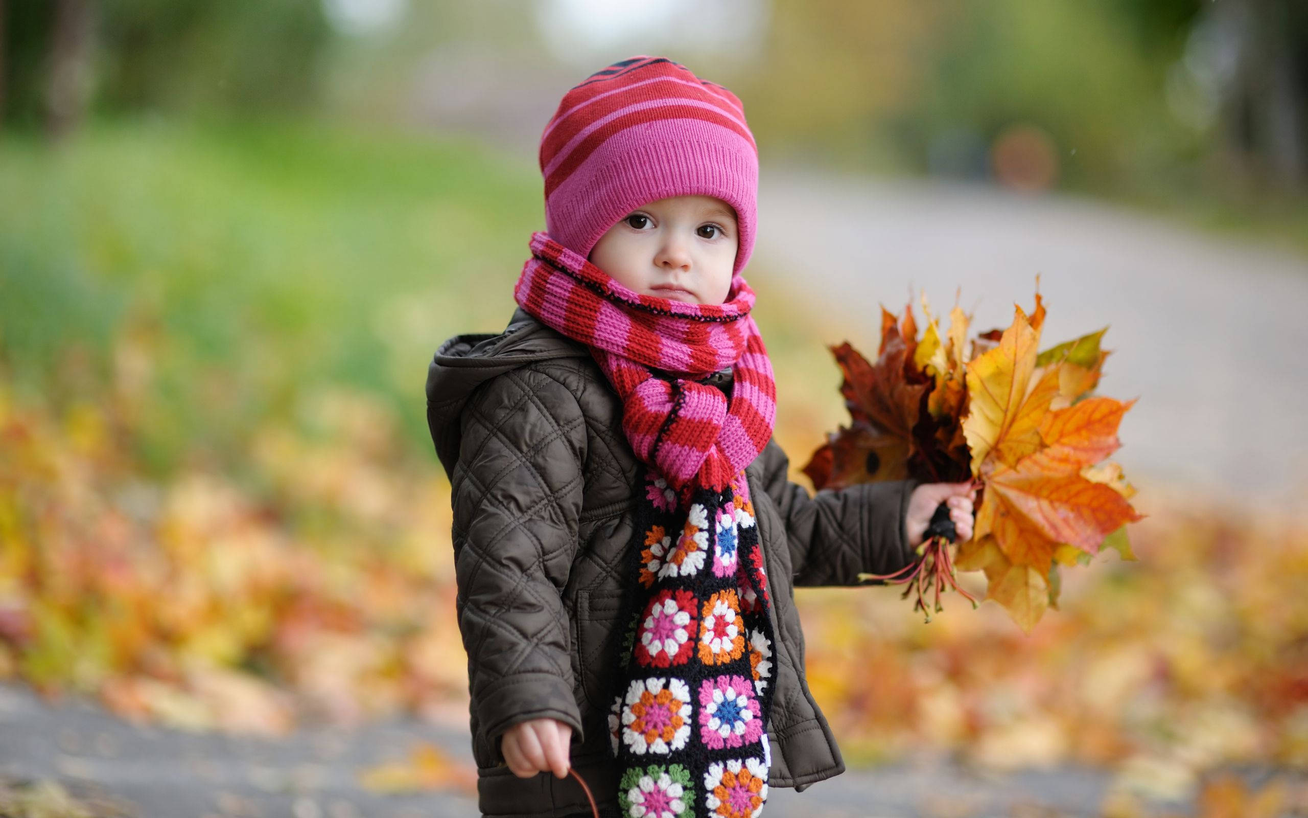 toddler, pink hat, colorful scarf, 2K Desktop Wallpaper