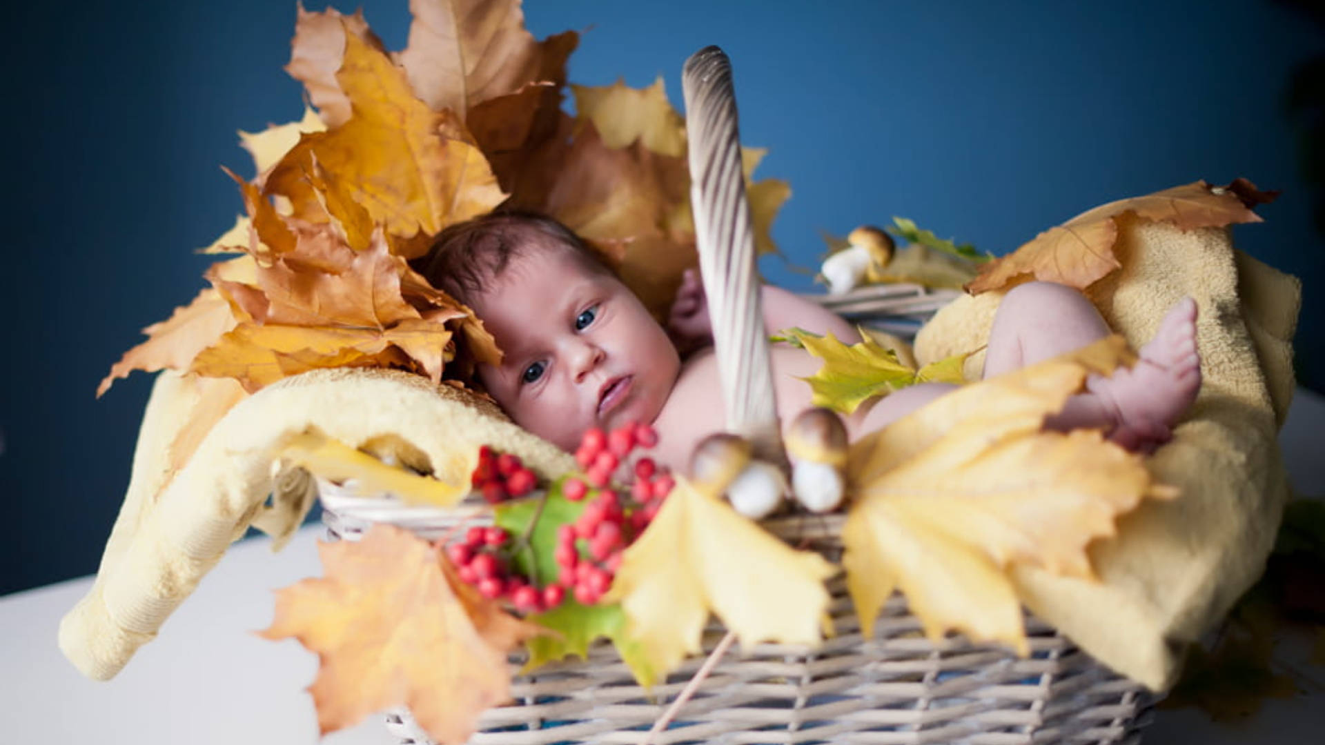autumn basket, newborn baby, wicker basket, Full HD Desktop Wallpaper