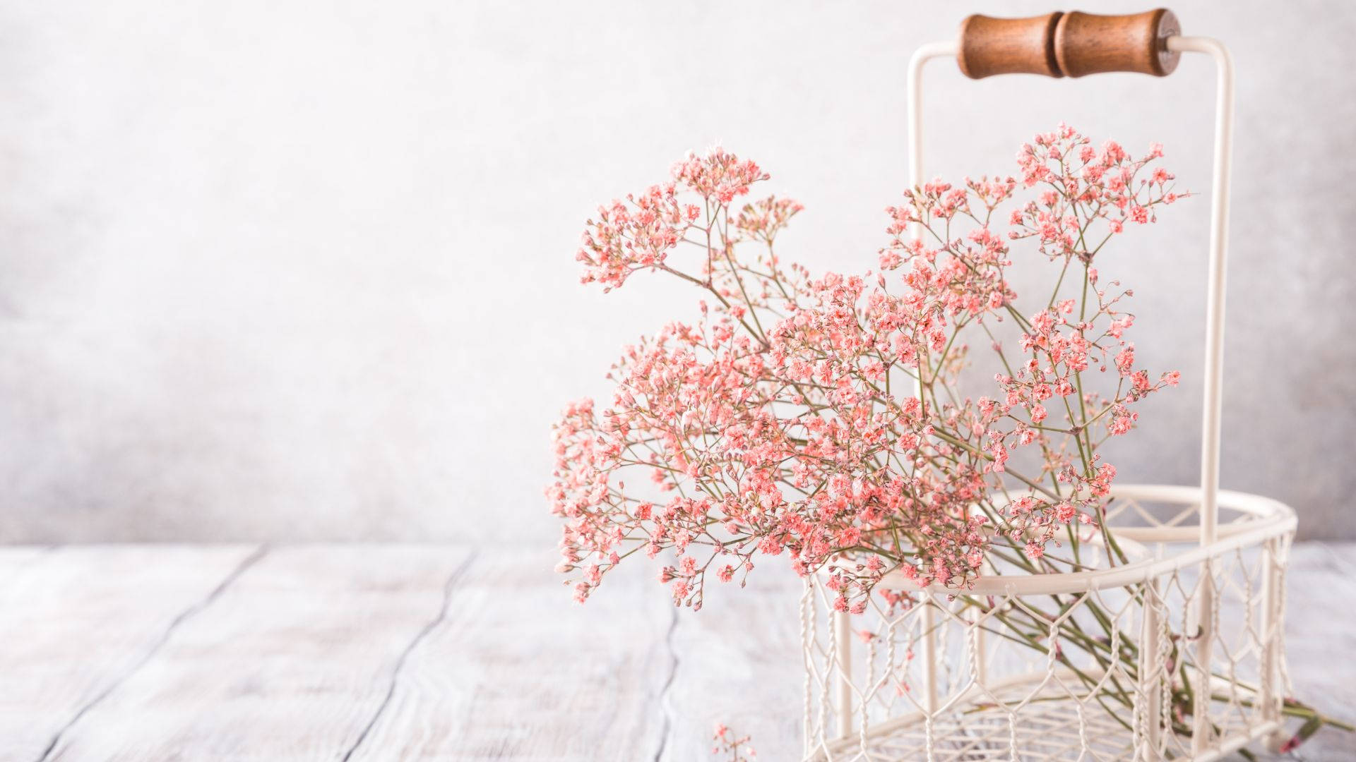 baby pink aesthetic, pink baby's breath flowers, white wire basket, Full HD Desktop Wallpaper
