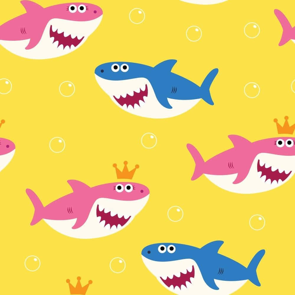 Baby Shark, friends, pink and blue cartoon sharks, SD Desktop Wallpaper
