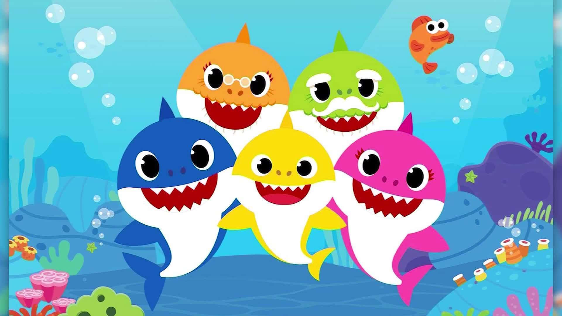 Baby Shark, Sunny summer day, beach, Full HD Desktop Wallpaper