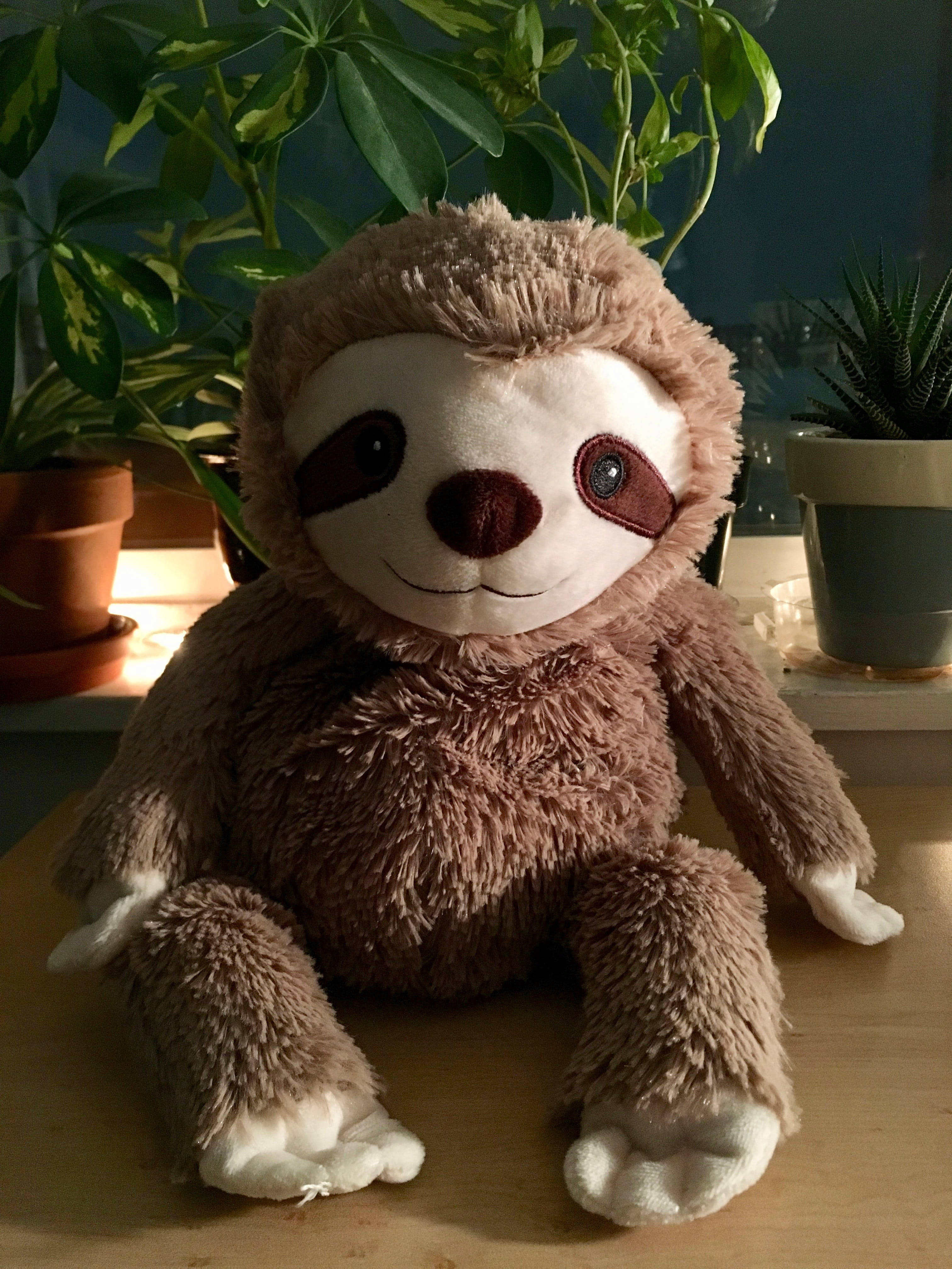 Baby Sloth, fluffy brown sloth plush toy, wooden surface, 4K Phone Wallpaper