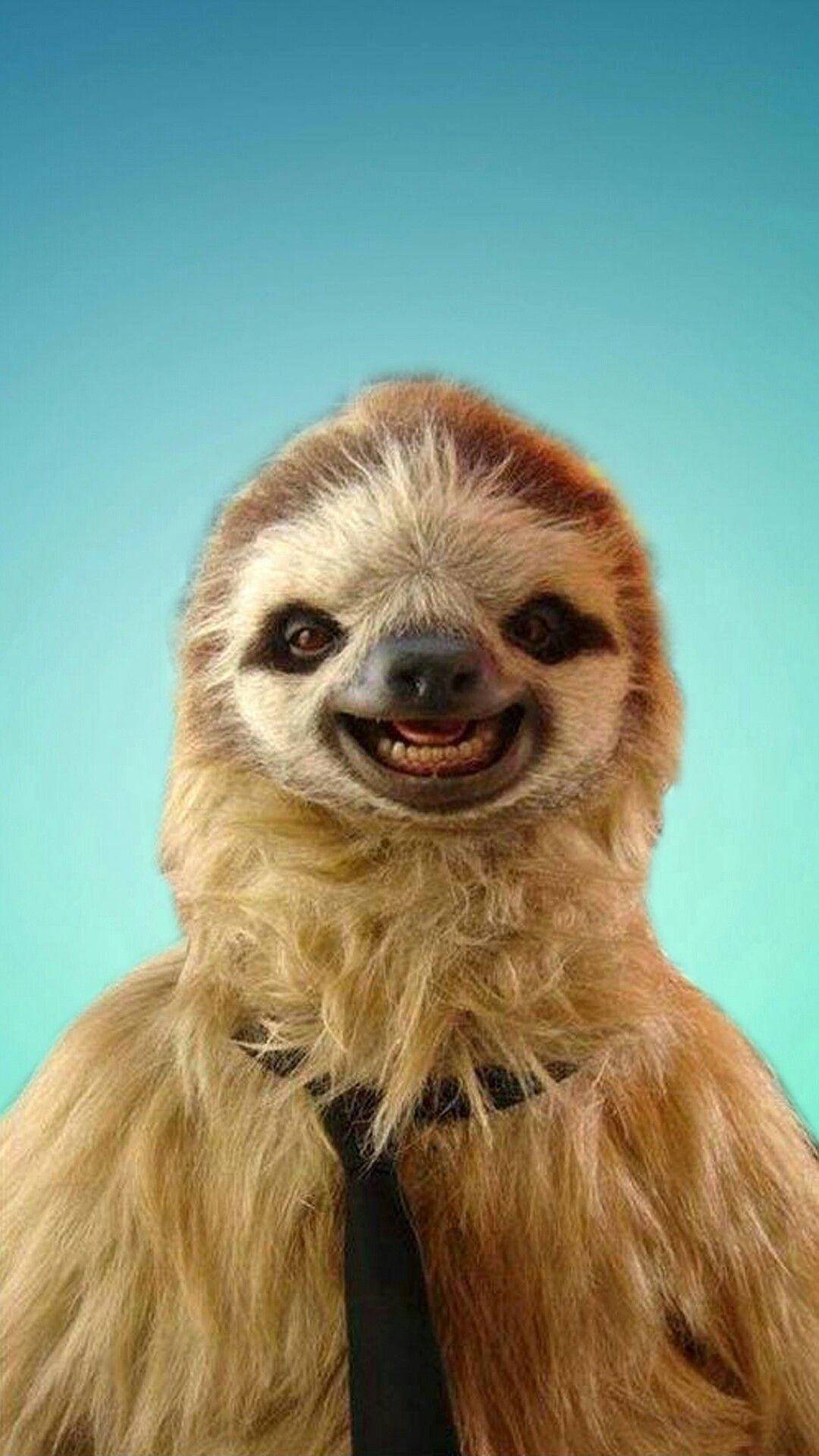 baby sloth, black tie, teal background, Full HD Phone Wallpaper