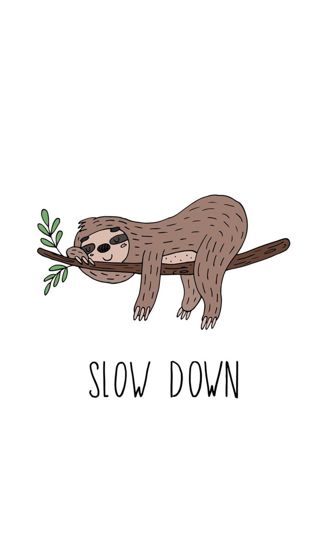 Baby Sloth, green leaves, branch, Full HD Phone Wallpaper