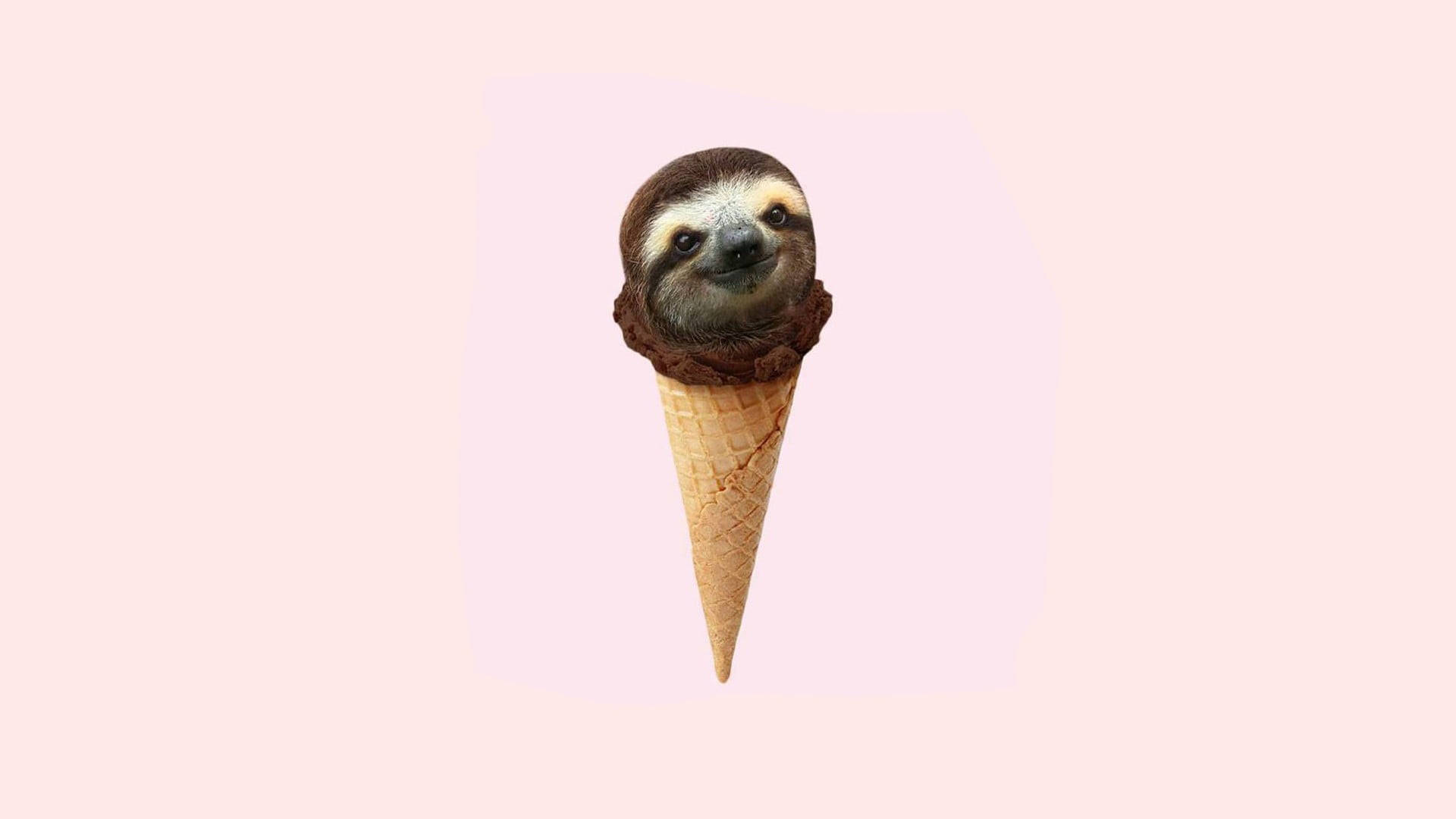 Baby Sloth, chocolate ice cream cone, soft pink background, Full HD Desktop Wallpaper