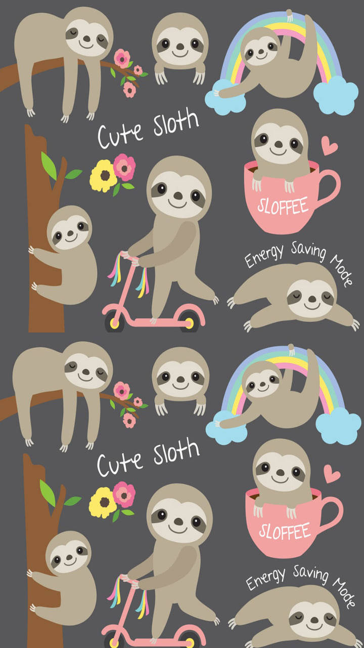 Baby Sloth, rainbows, flowers, HD Phone Wallpaper
