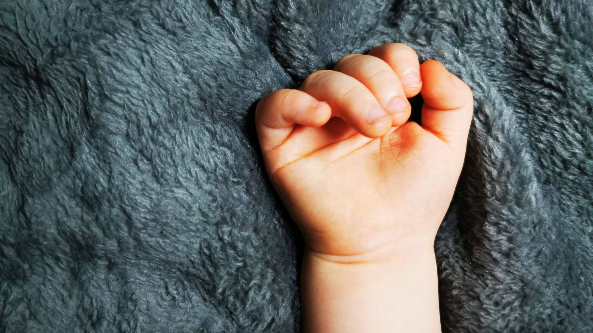 baby hand, cozy blanket, soft gray fluffy blanket, Full HD Desktop Wallpaper