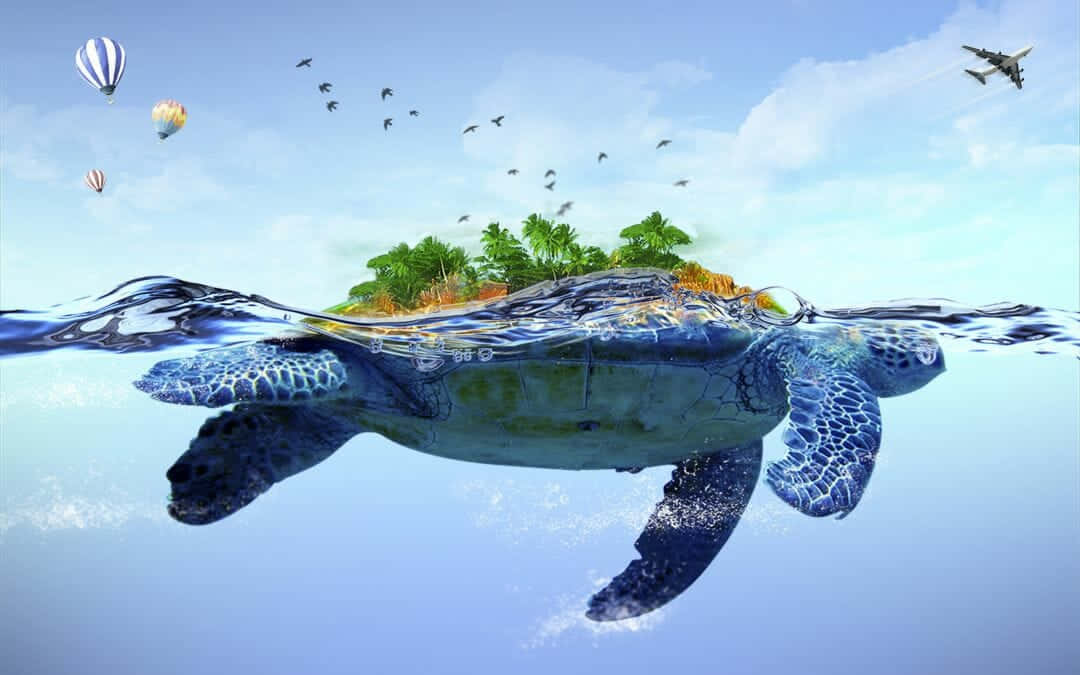 Baby Turtle, giant sea turtle, lush tropical island, SD Desktop Wallpaper