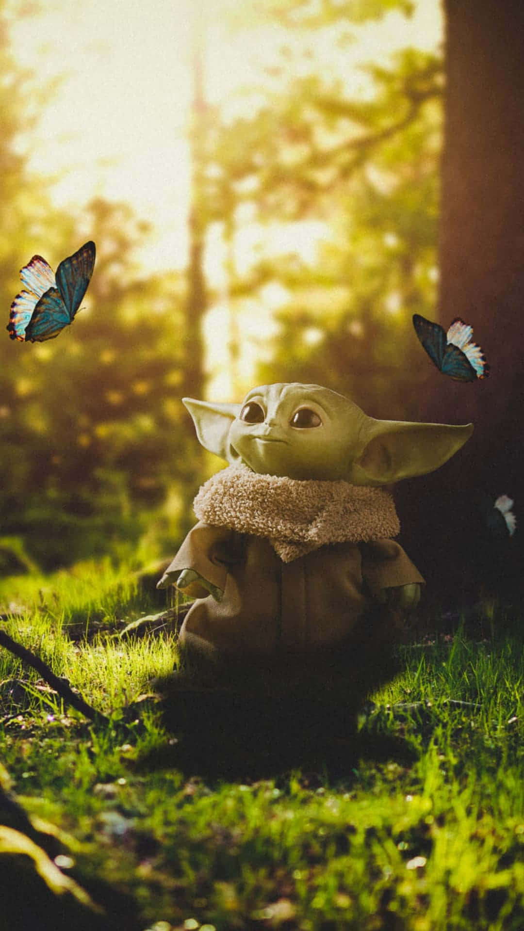 Baby Yoda, forest glade, sunlit, Full HD Phone Wallpaper
